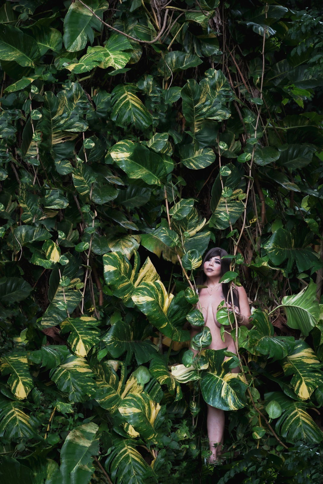 FlyTetas's avatar