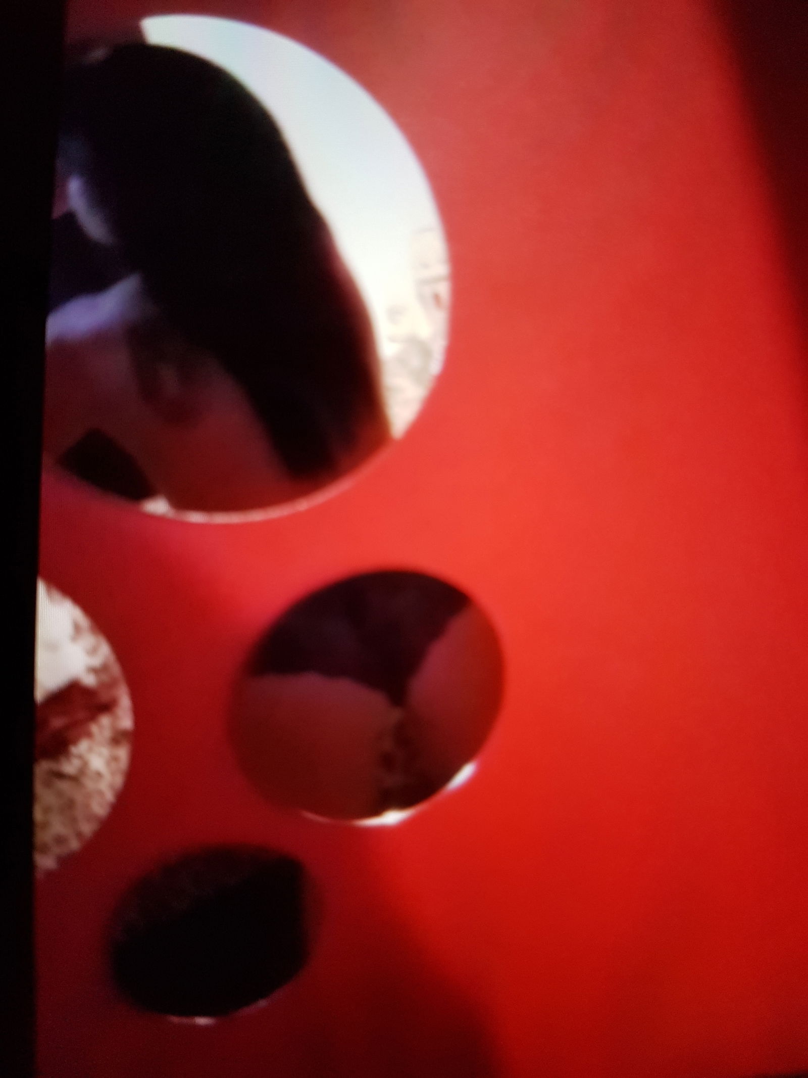 Mandy's avatar