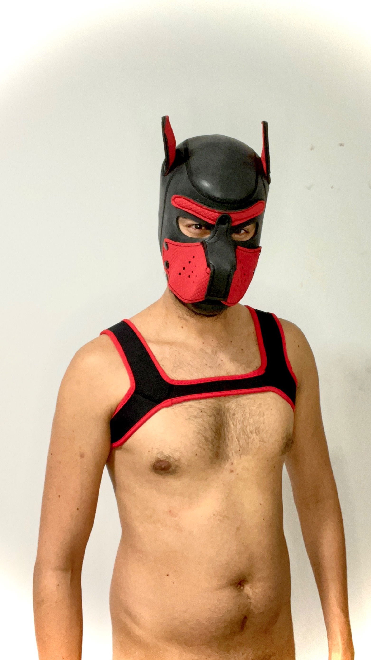 Frank Tolosa's avatar