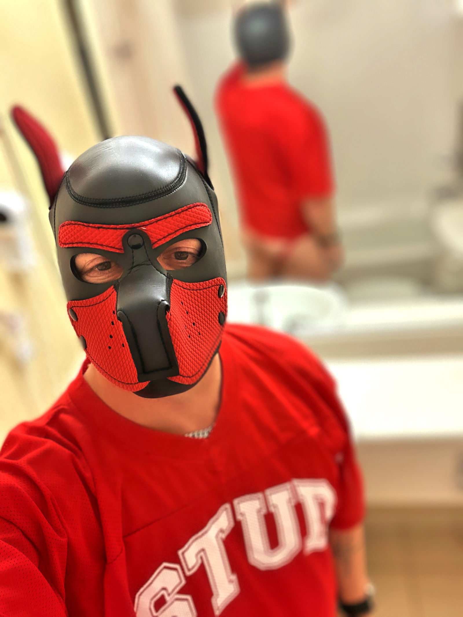 Pup Declan's avatar