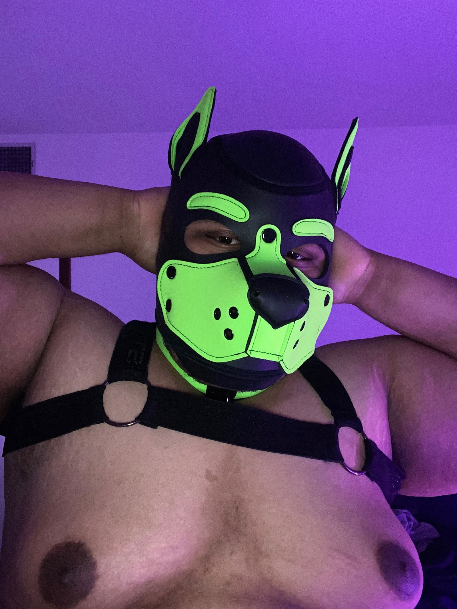 Fuzzy's avatar