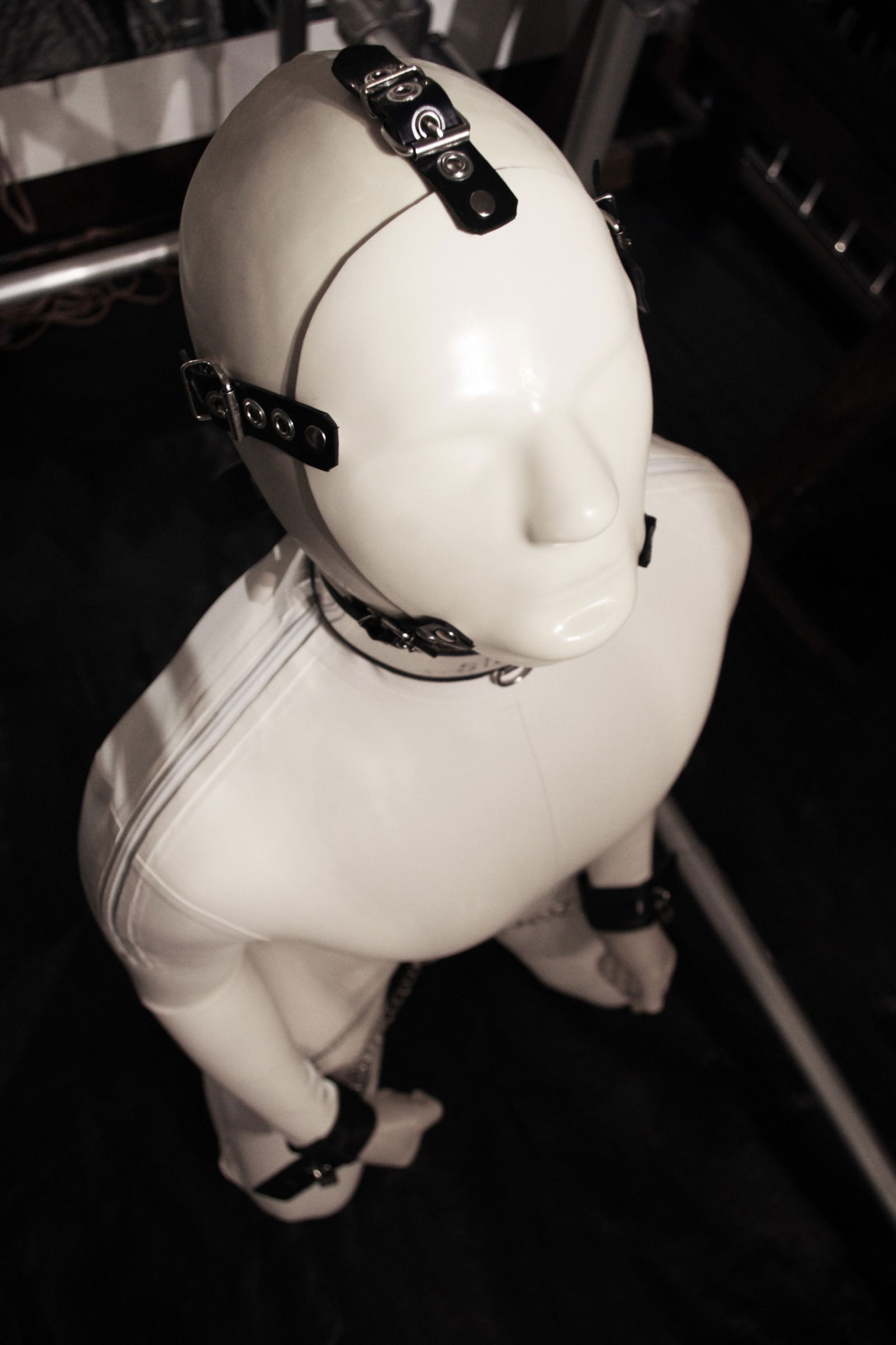 G_Premier_1's avatar