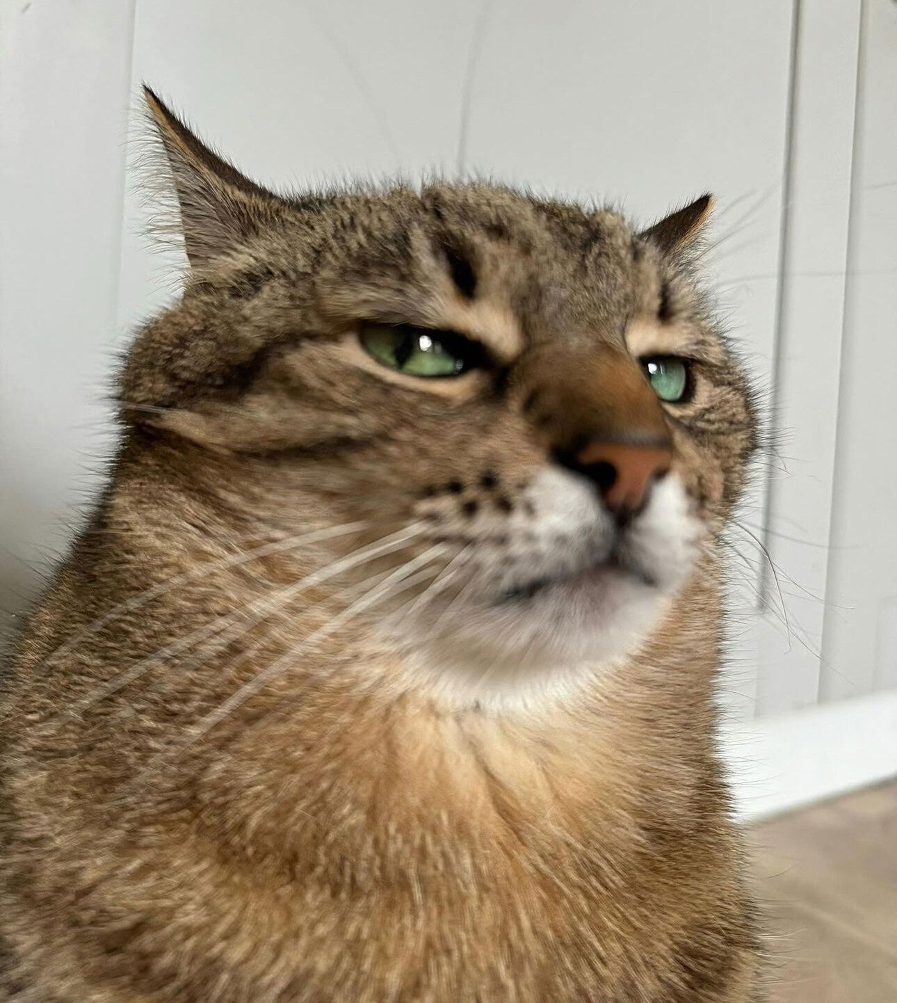 Dungbri's avatar