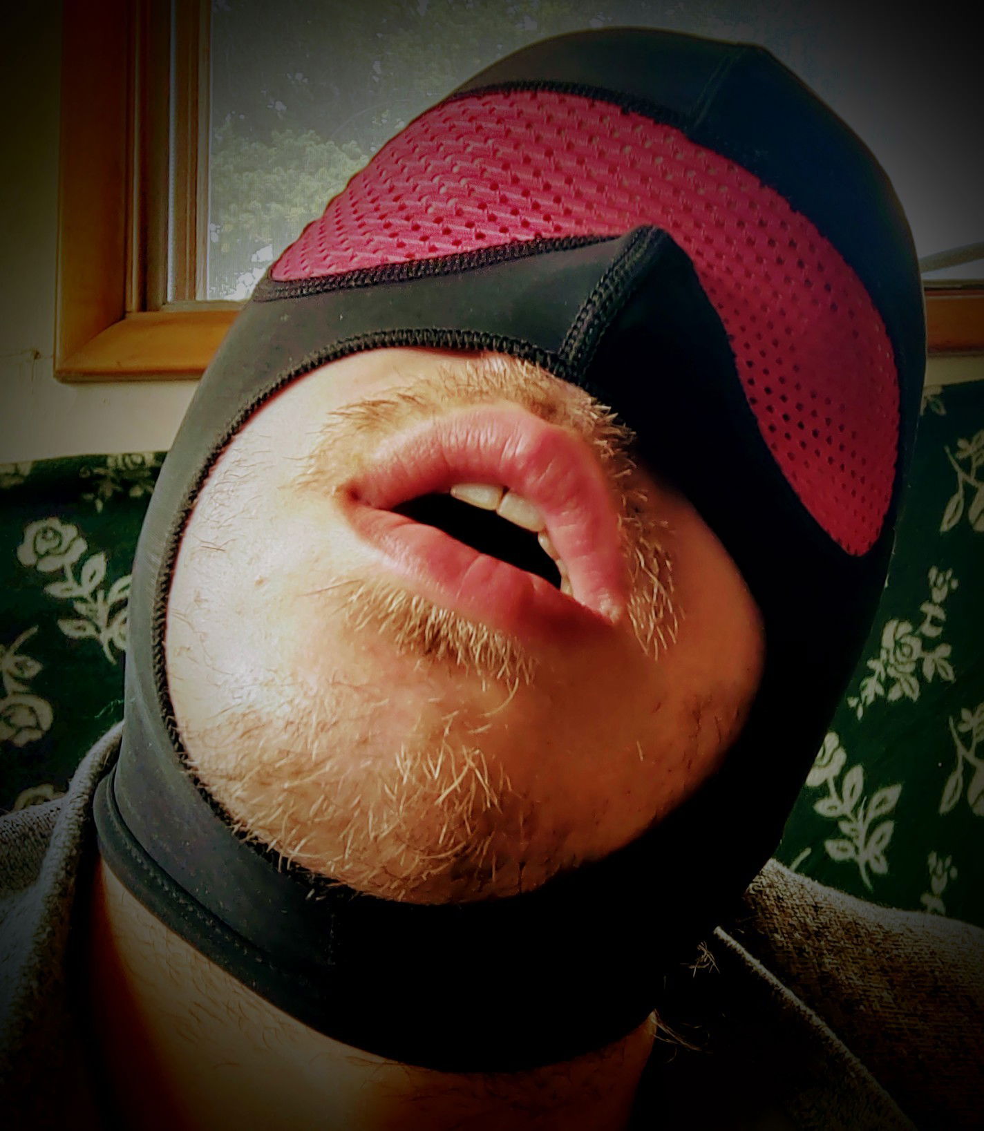 BearBottomPig's avatar
