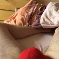 germanguy79's avatar
