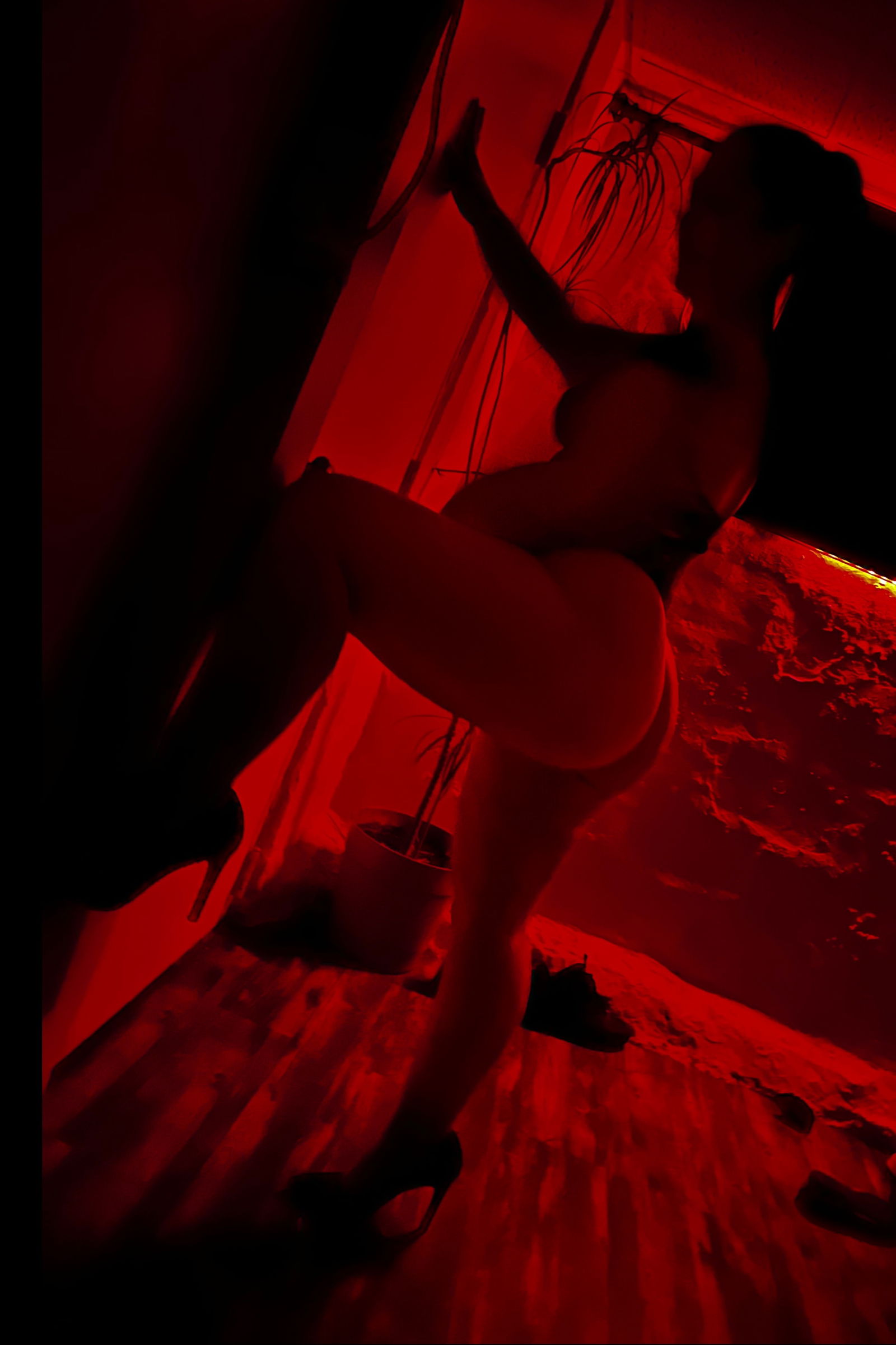 Gianna🍑's avatar