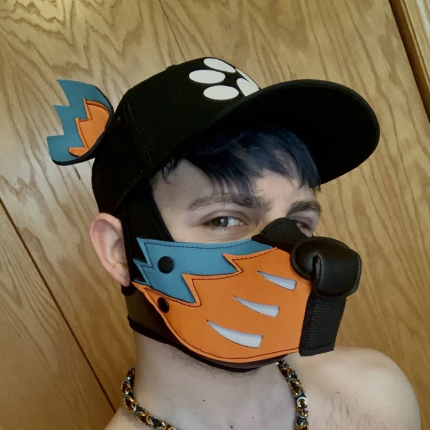 Gideon The Pup 🐺's avatar