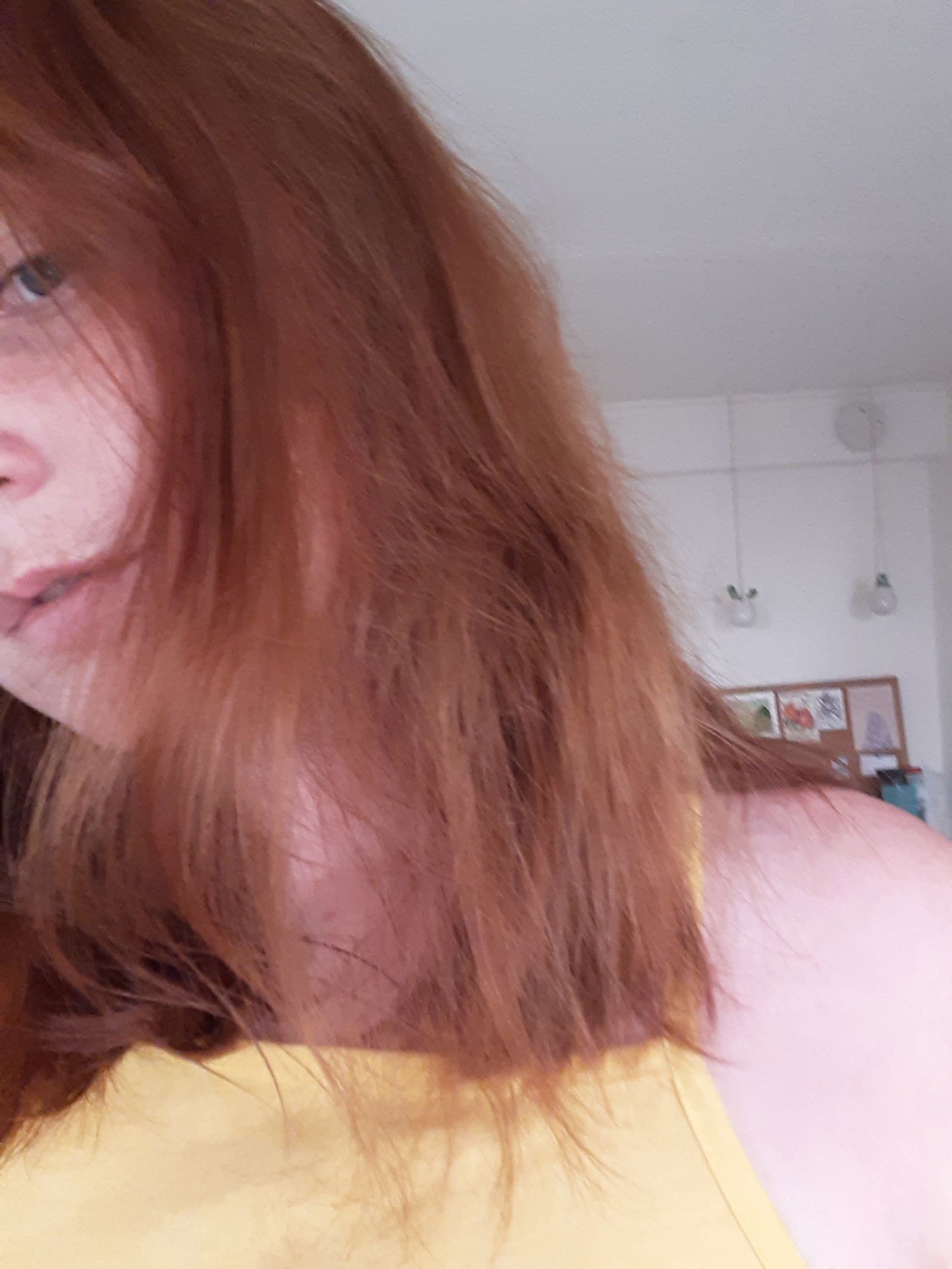 Gigi Ginger