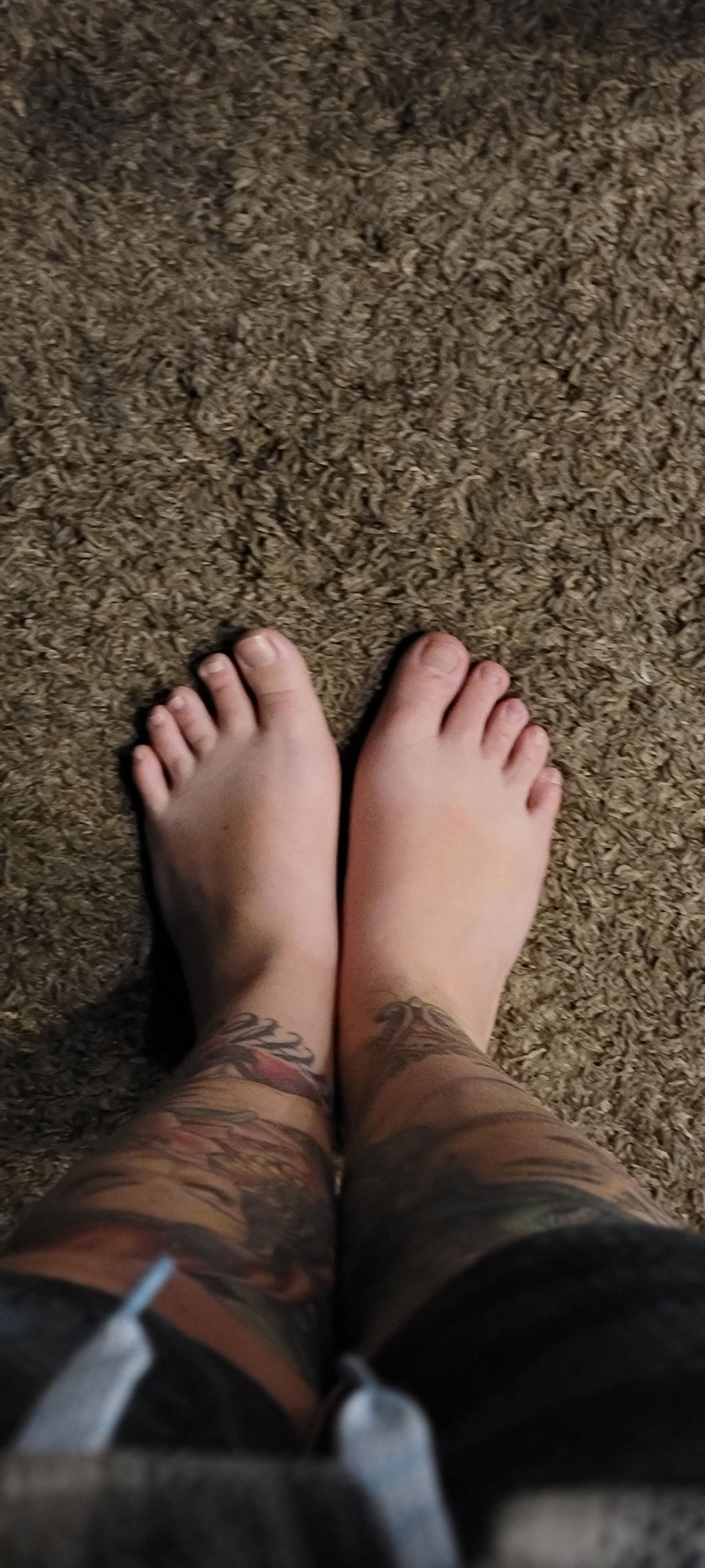ginger.toes's avatar