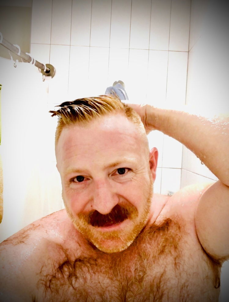 Gingerbear's avatar