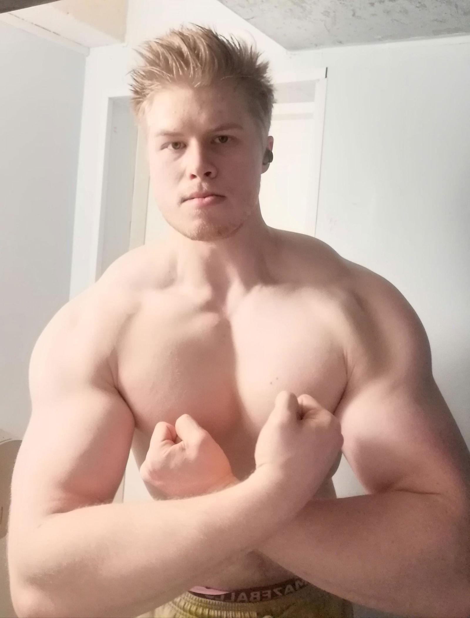 Golden Alpha's avatar