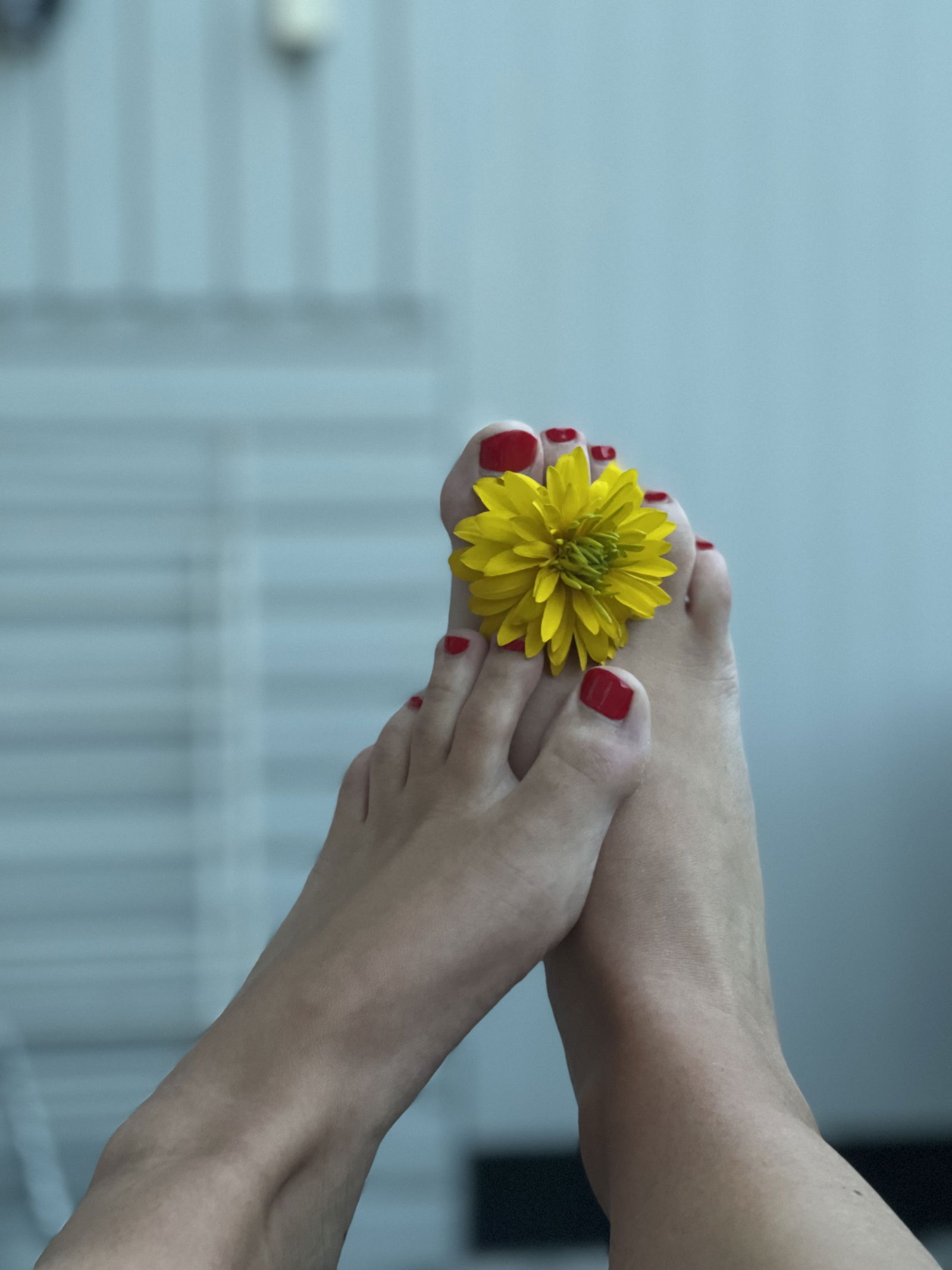 Foot fetish page's avatar