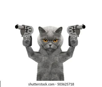 imgonnaeatyourheart's avatar