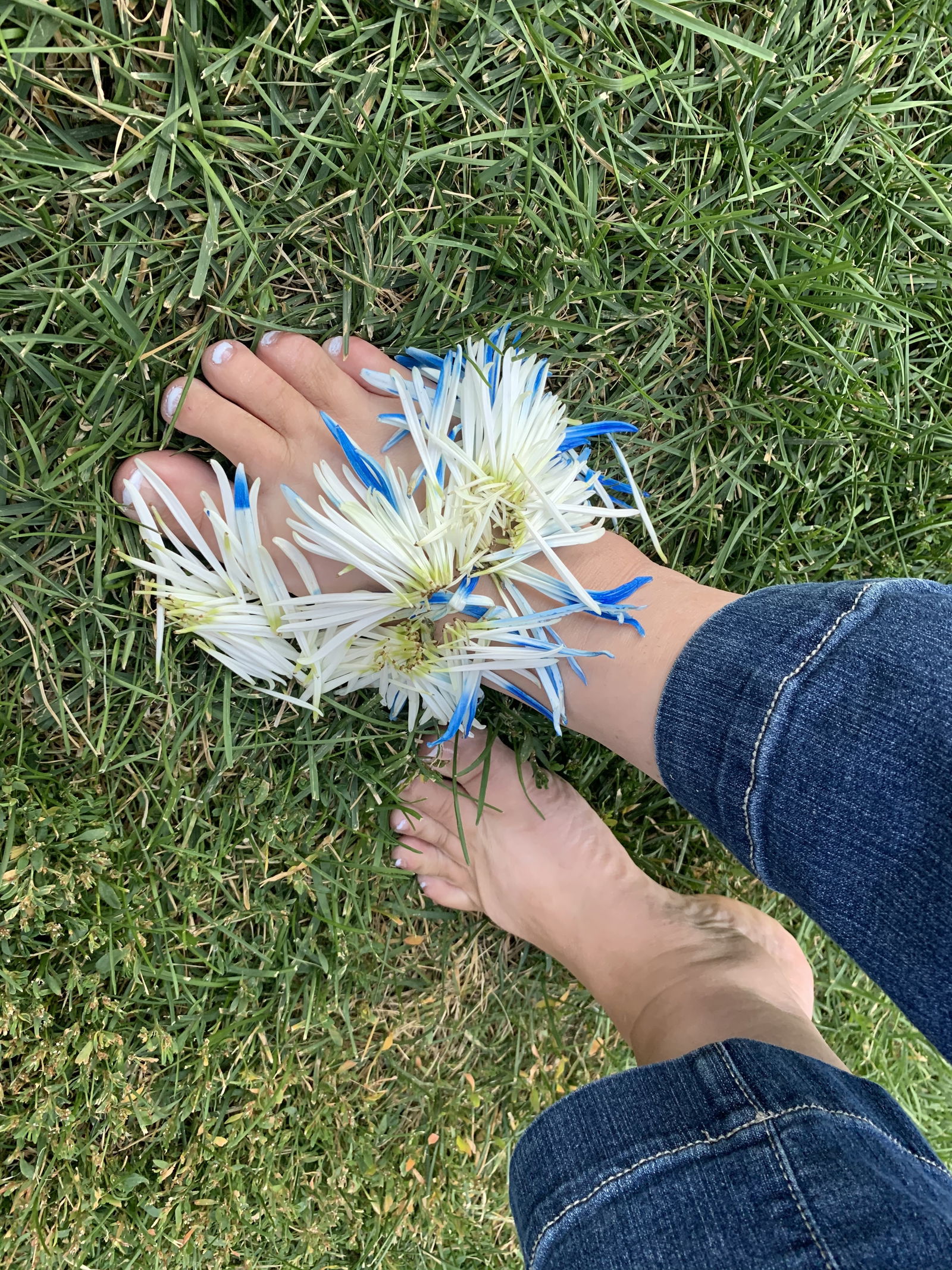 Grandmas-Feet's avatar