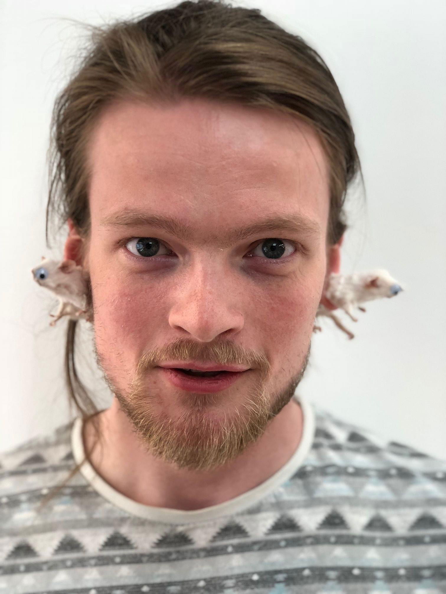 Grey Jogger Boy's avatar