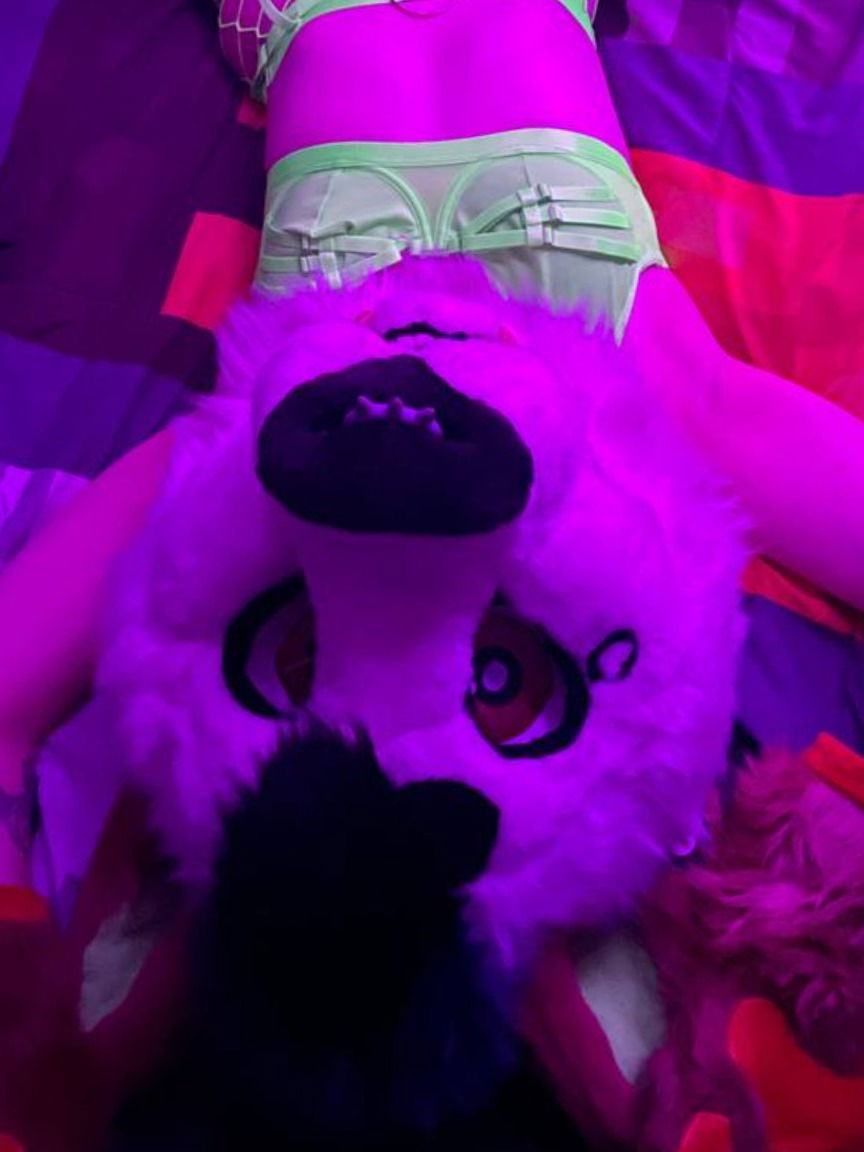 Bean's avatar