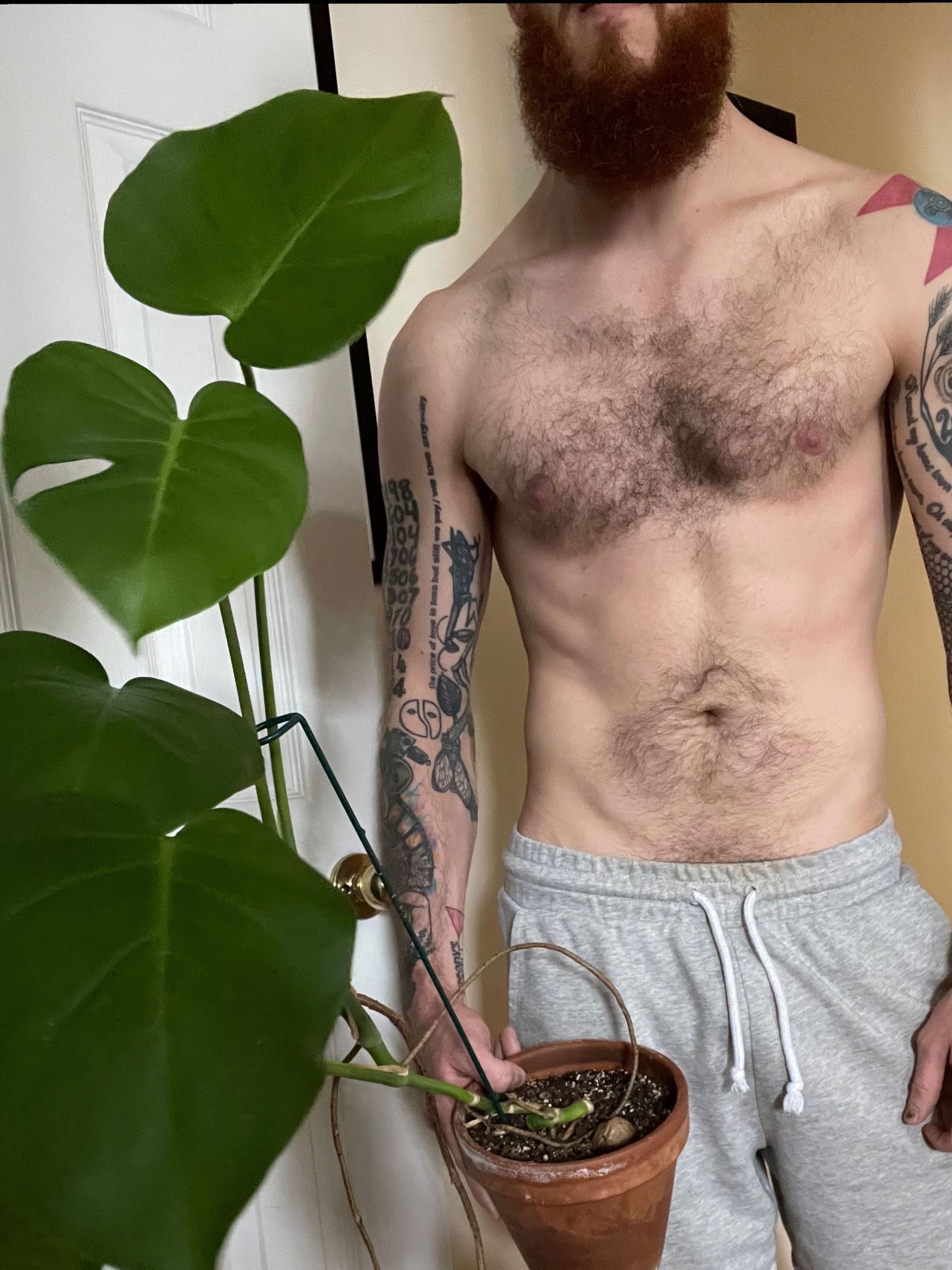 Gr🍀w with Nick🇵🇸