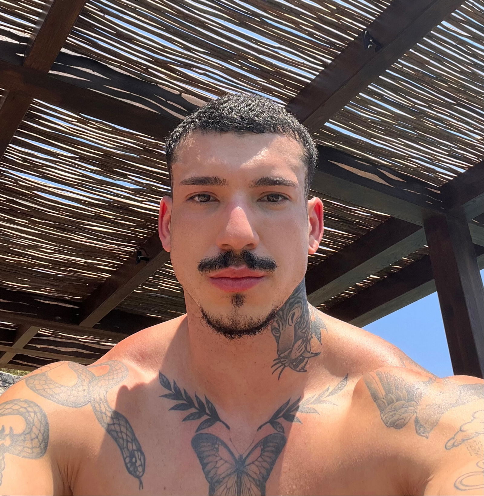 Guilherme Oliveira's avatar