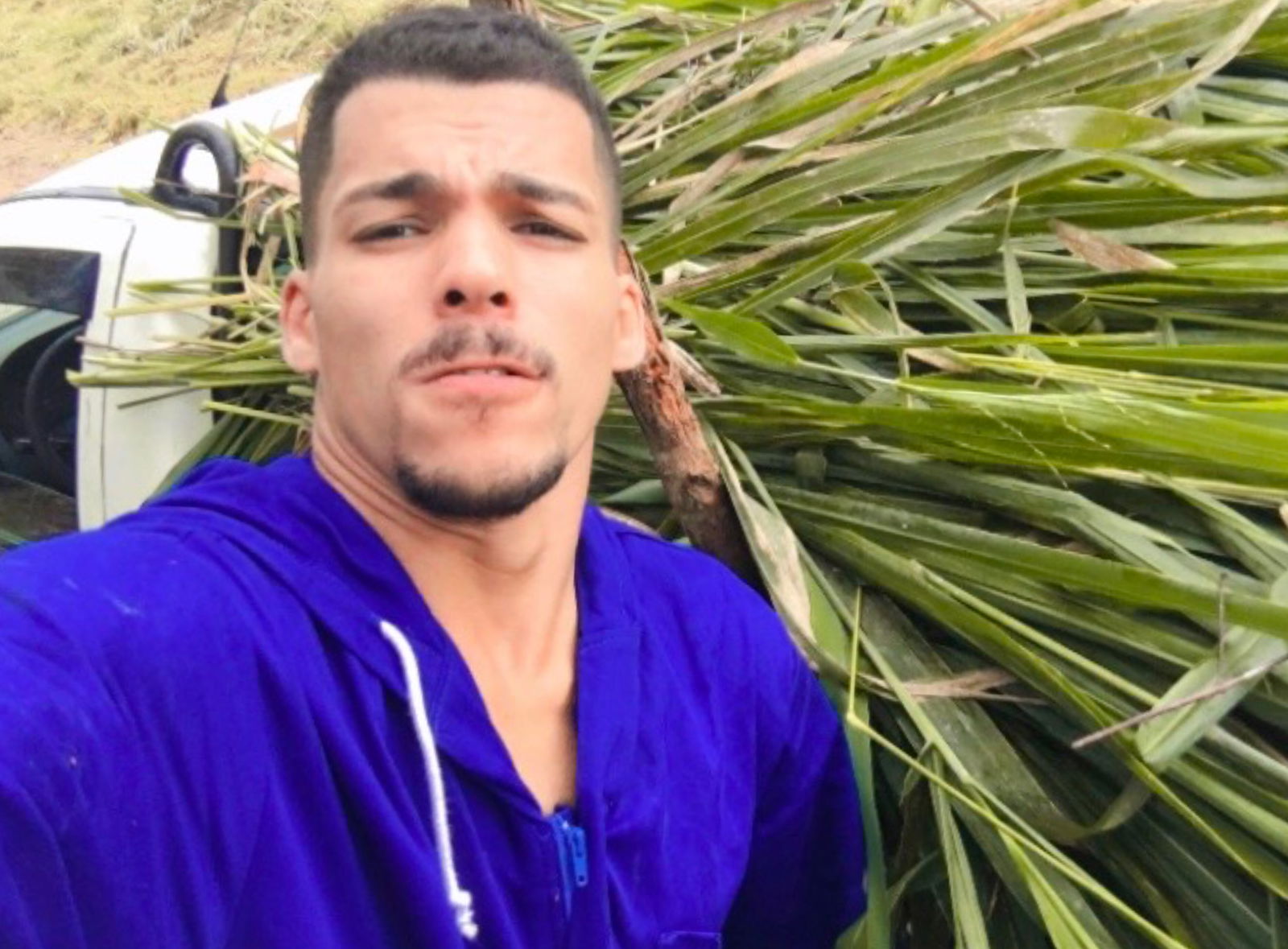 Gutozinhovip's avatar