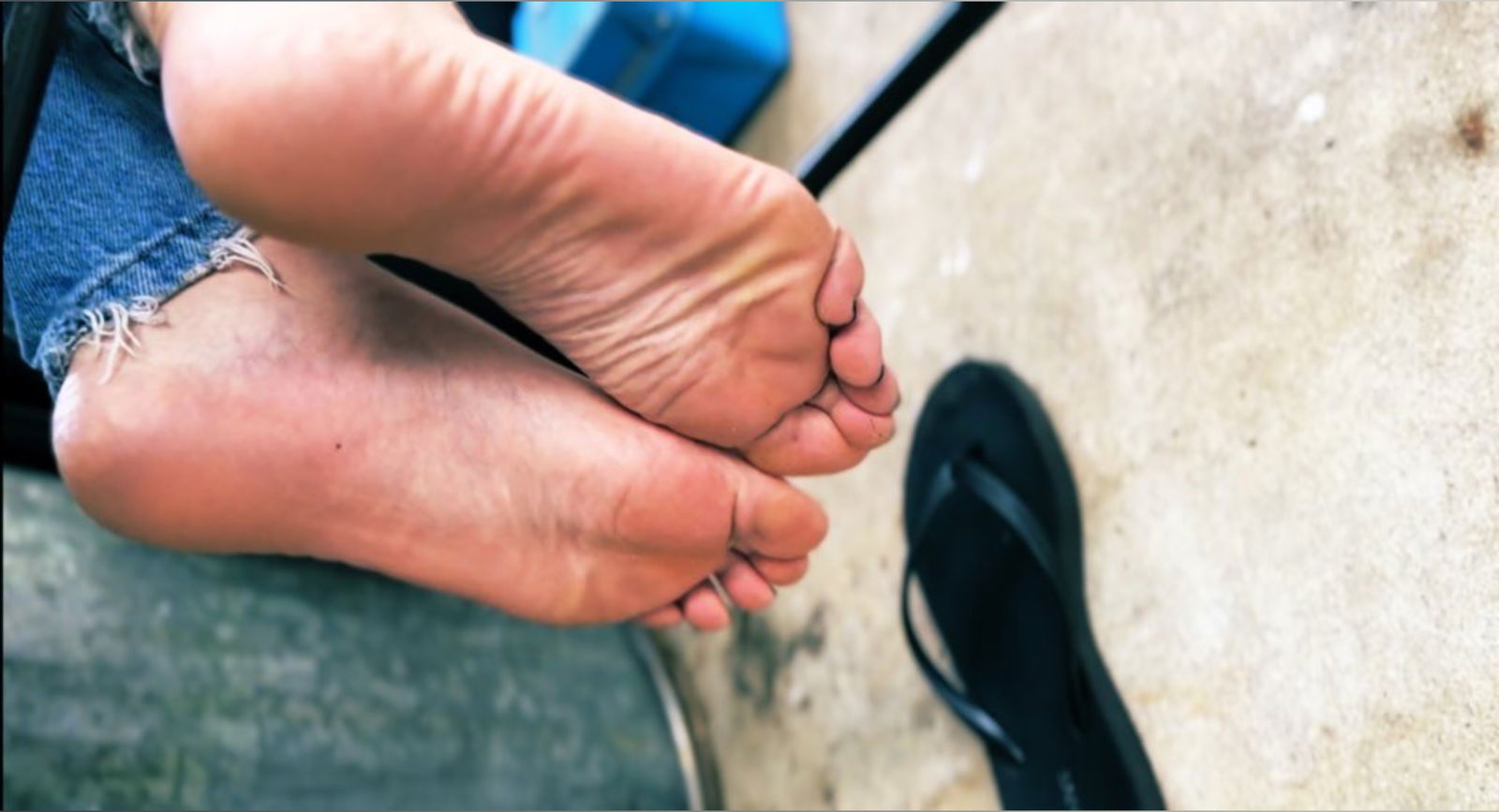 Houseplant Baby's avatar