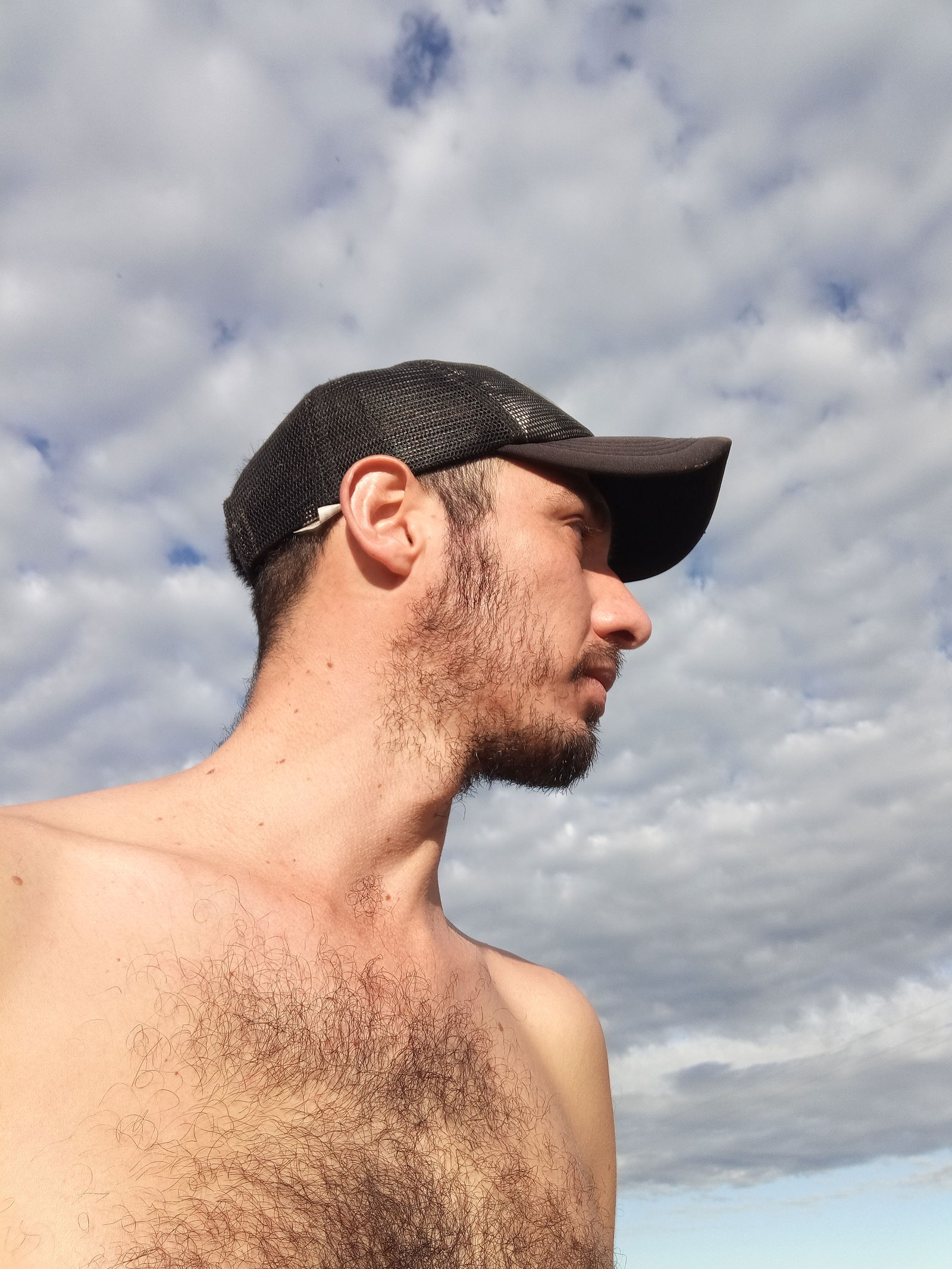 Hairy boy's avatar