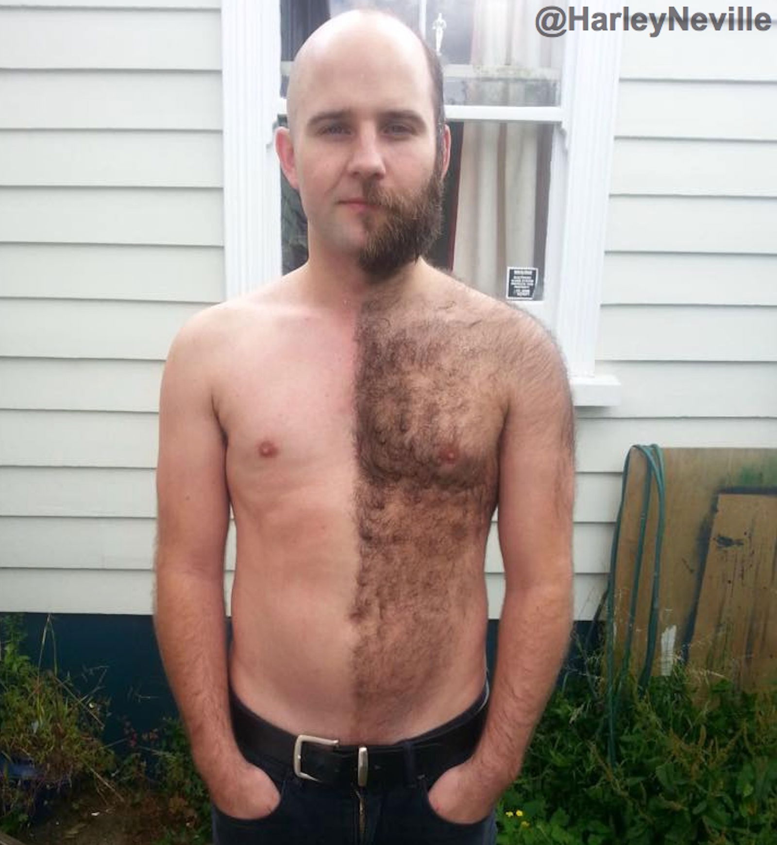 Hairy Navel's avatar