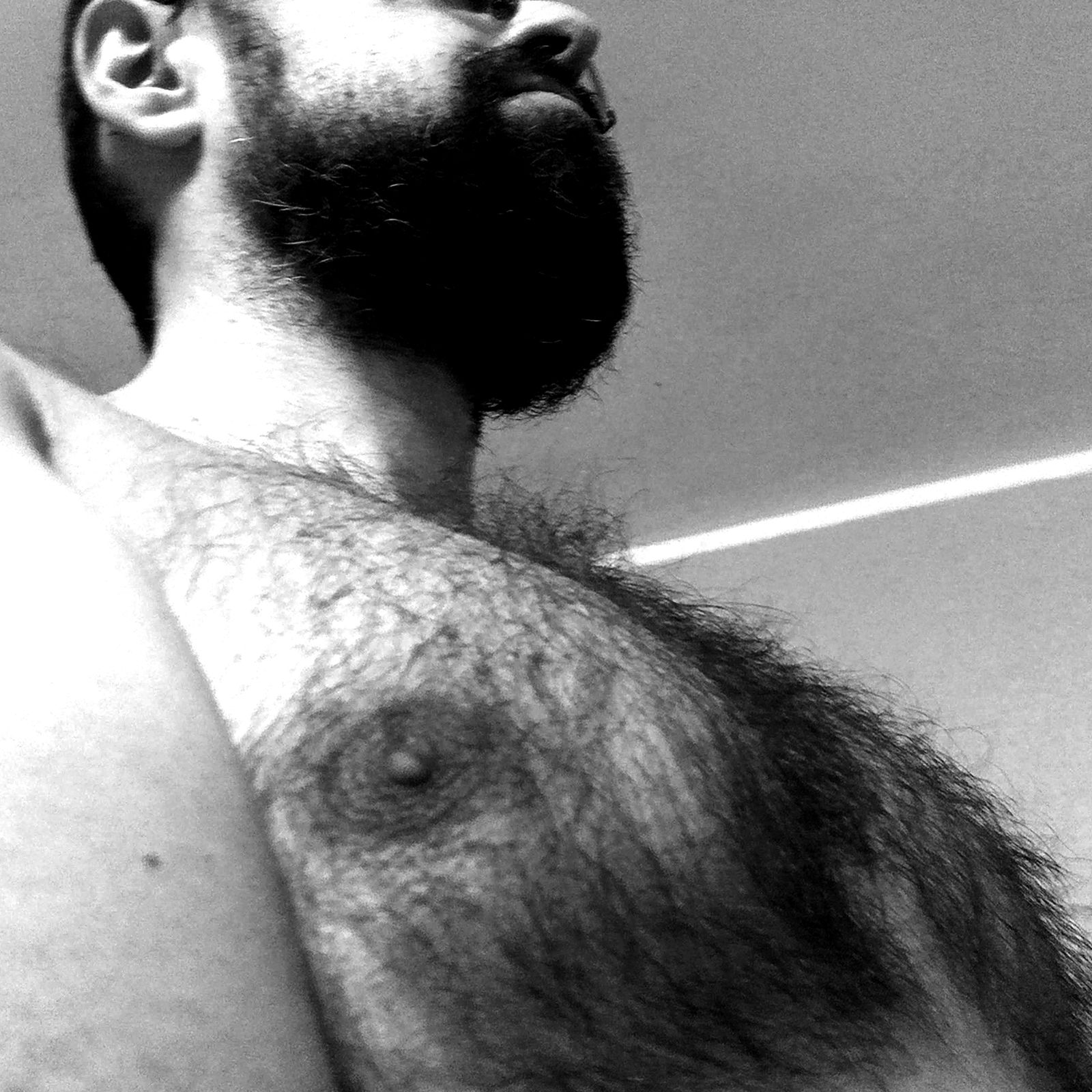 Hairy Teddy 🐻's avatar