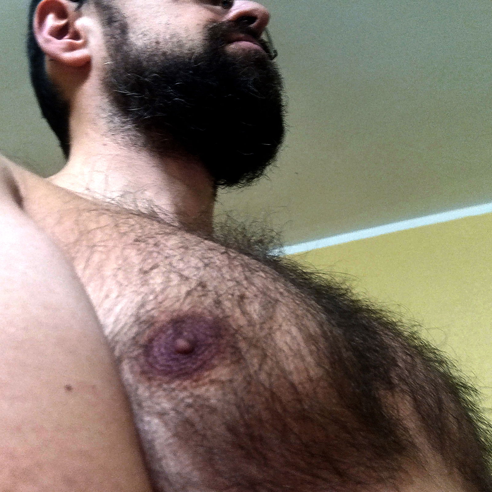 Hairy Teddy 🐻 VIP's avatar