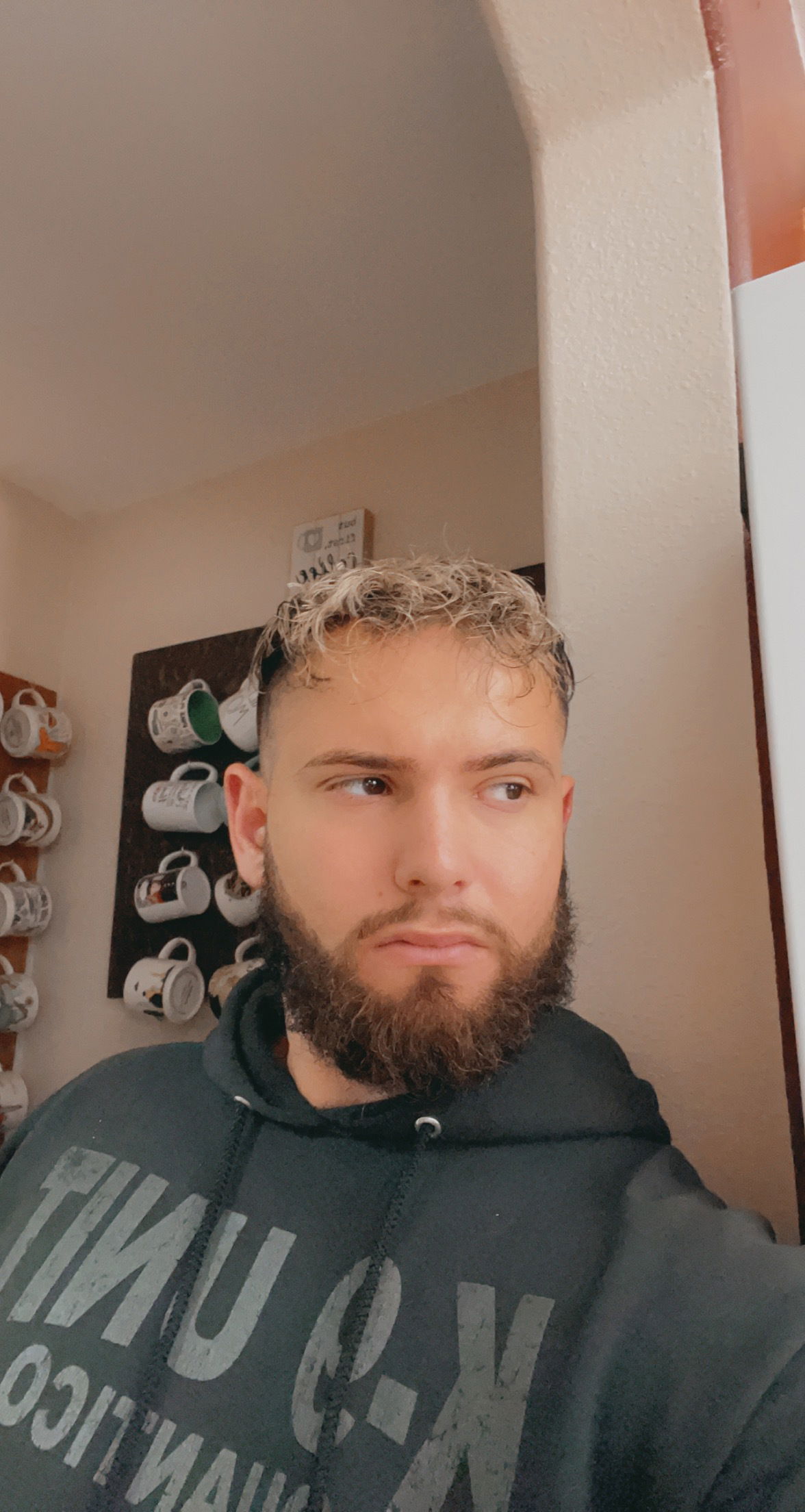 Brandon Haro's avatar