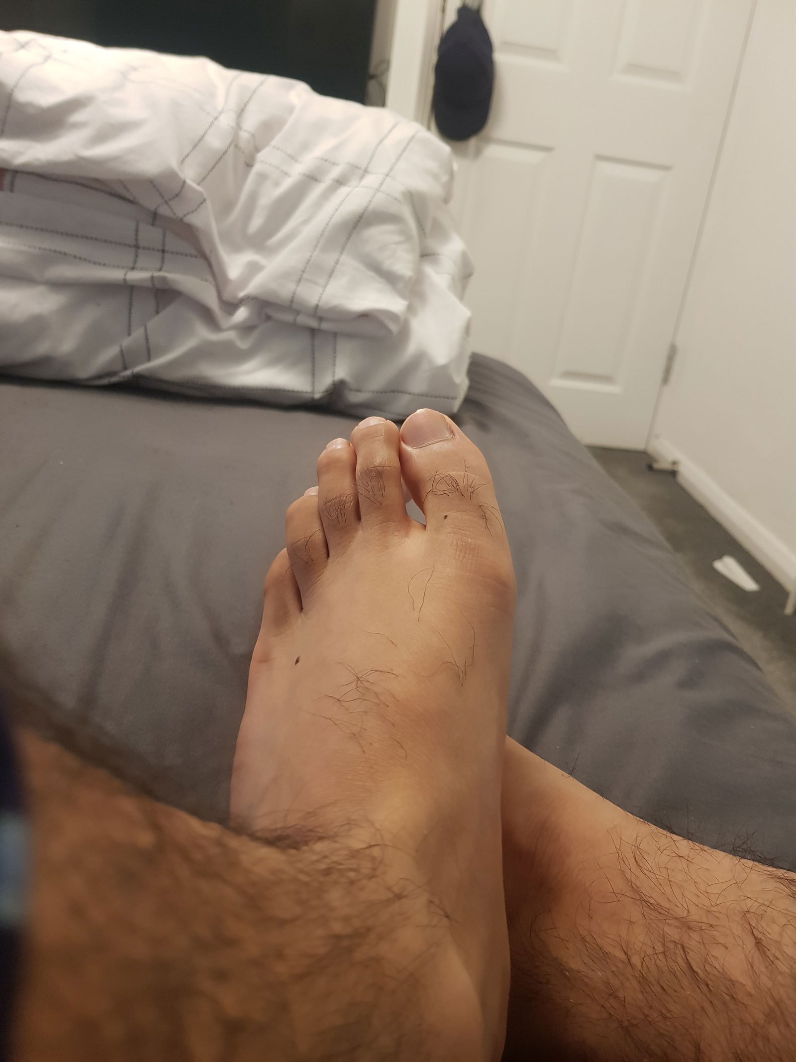 Hash-Brown-Feet's avatar