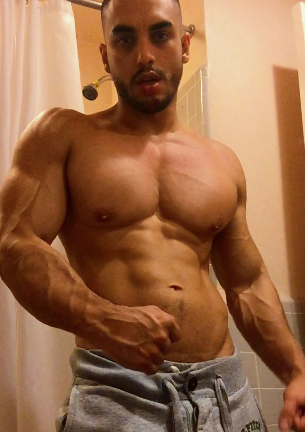 HAUS OF SEDAVI's avatar