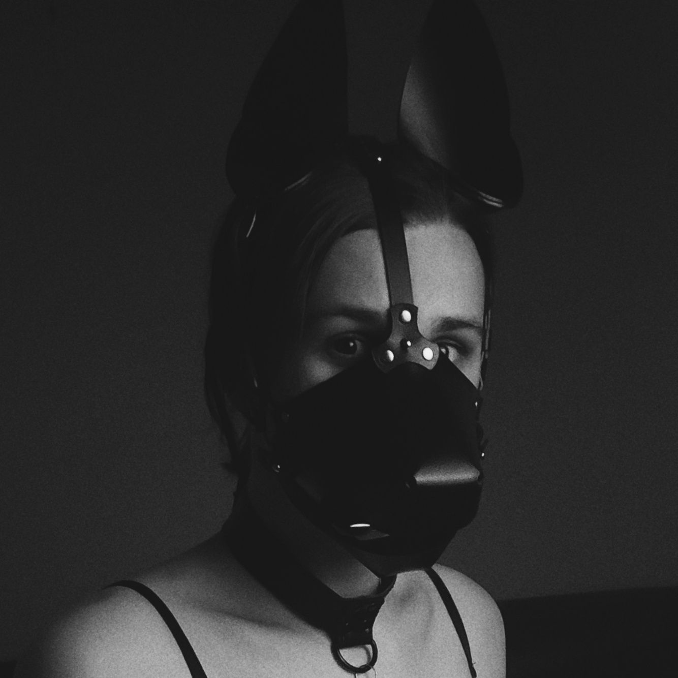 HifiPup's avatar