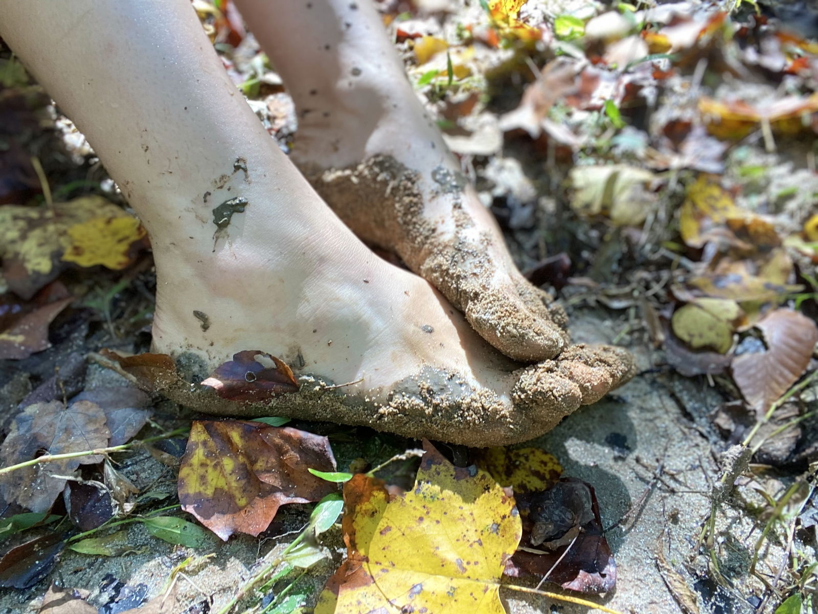 Hippie Feet's avatar