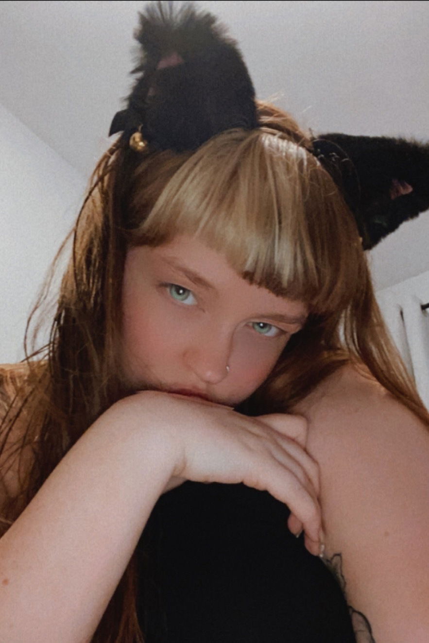 Kitten