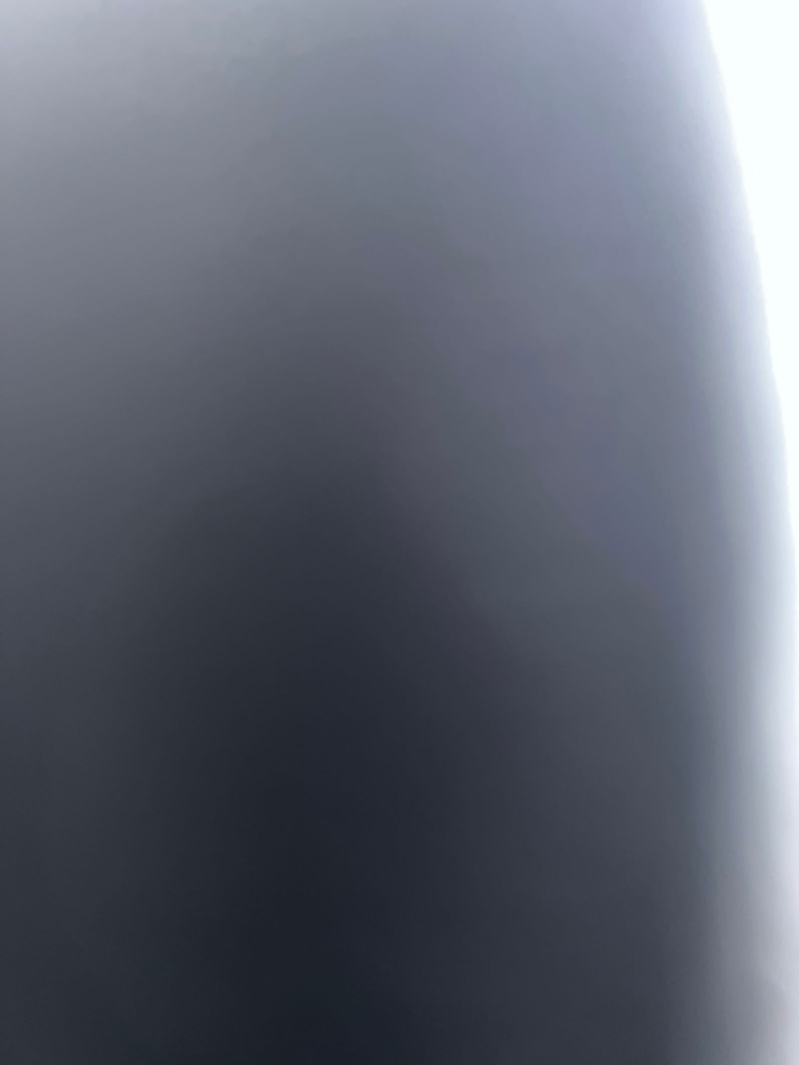 Wolf's avatar