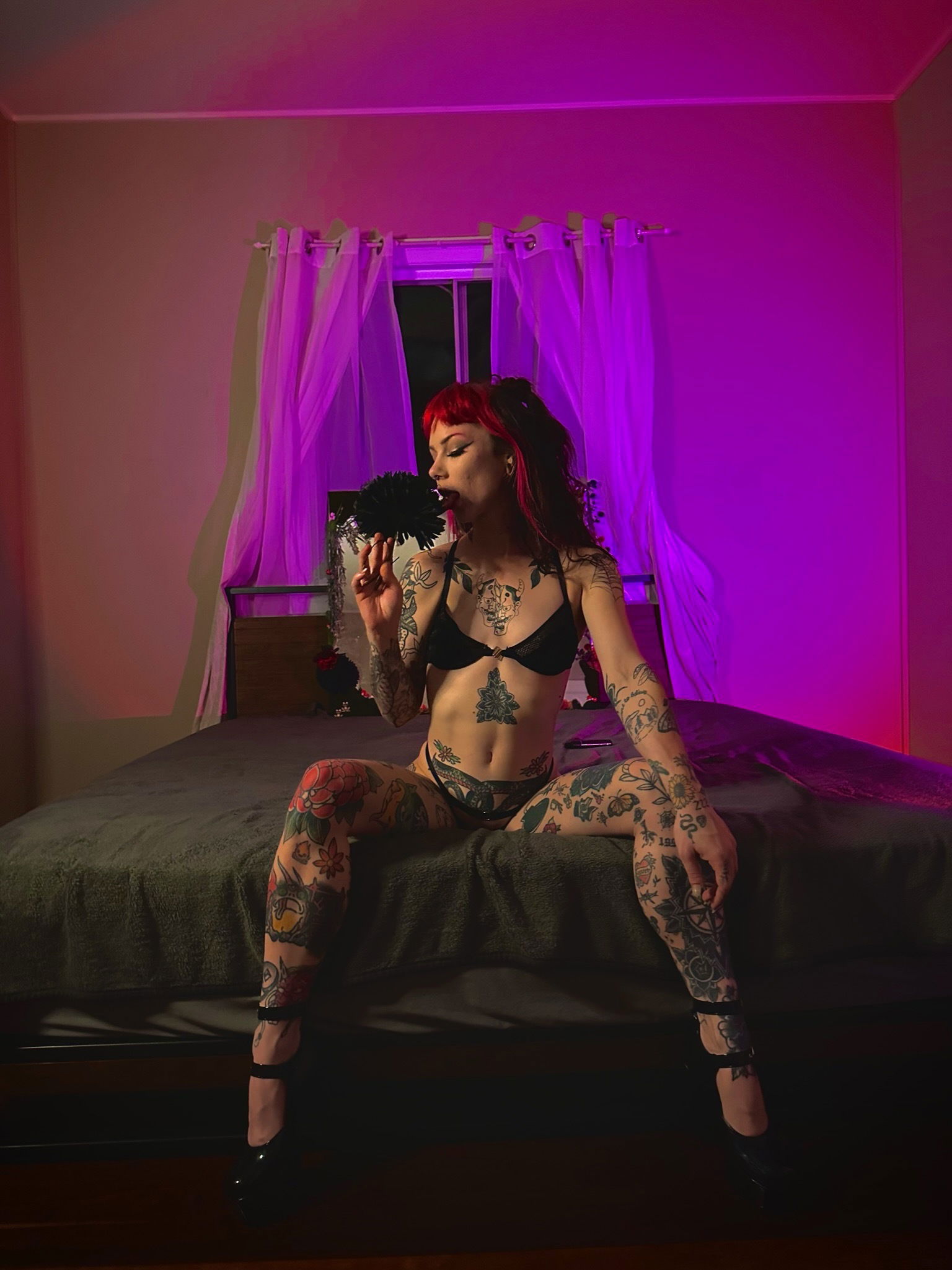 Illicit Ivy / Alissa Dom's avatar