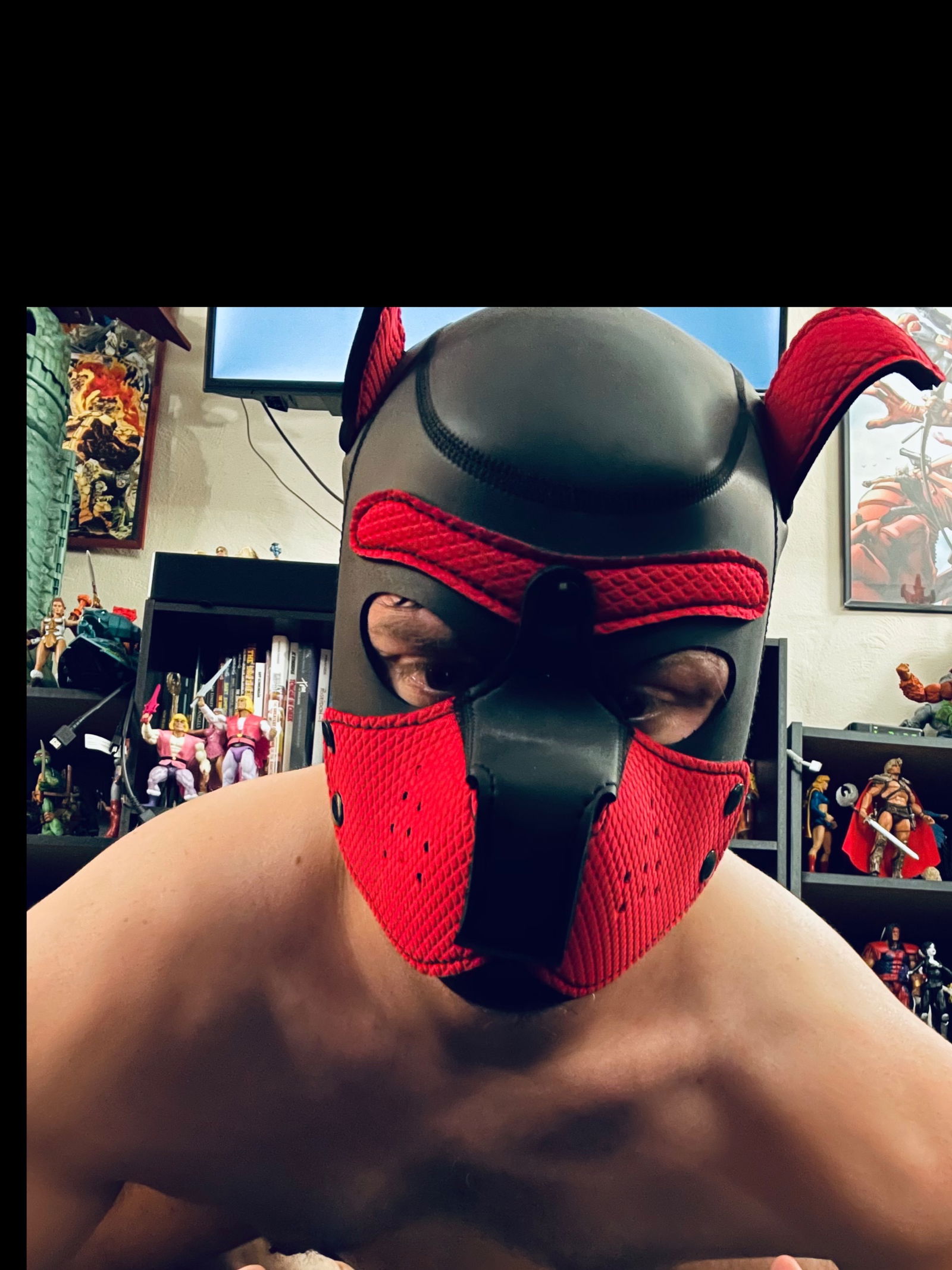 GaymerGuy's avatar