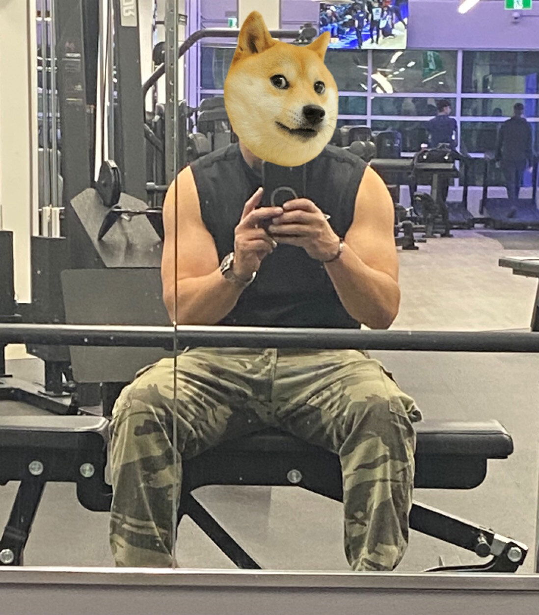 Ivo's avatar