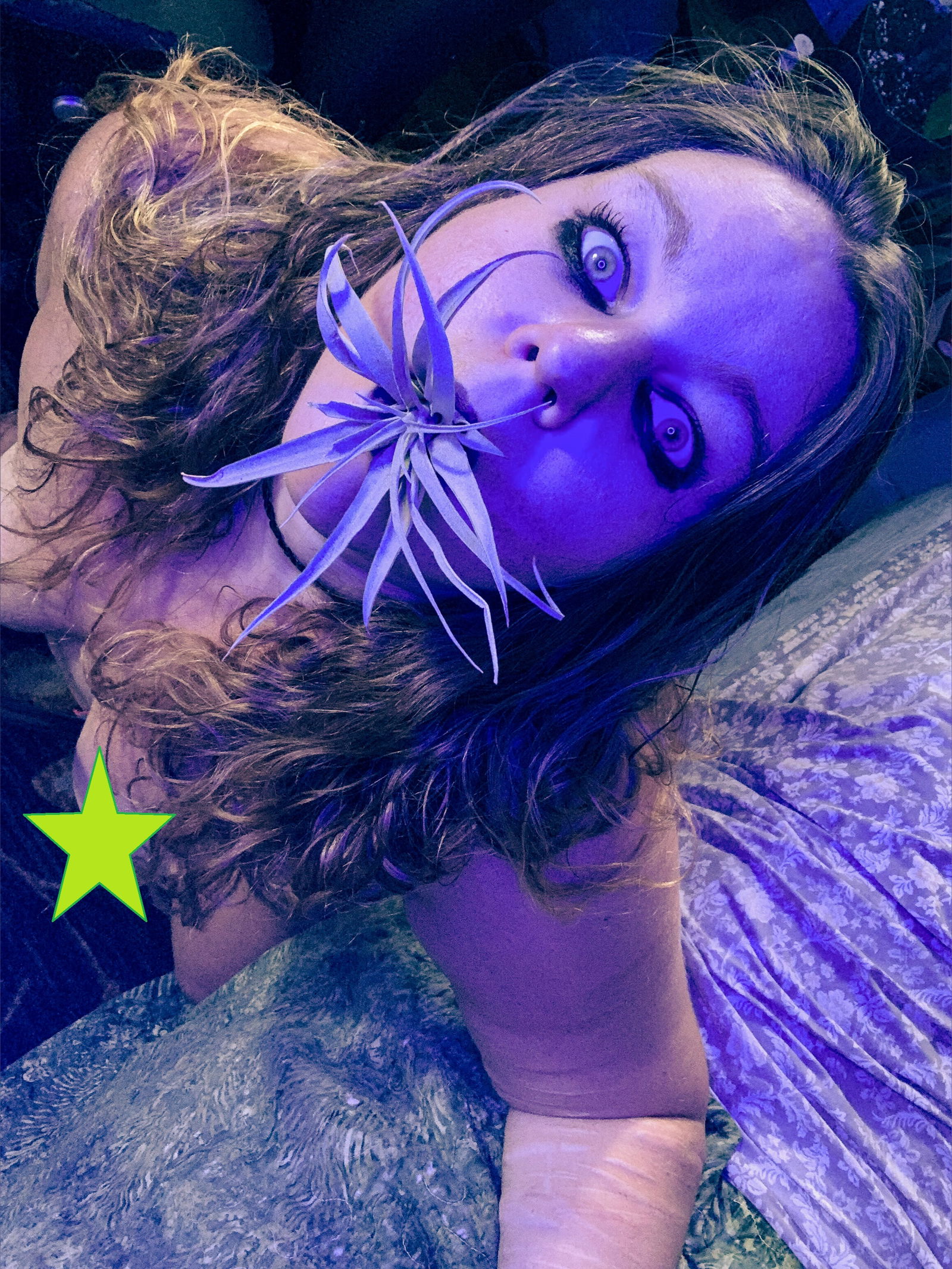Ivy Lake creator profile