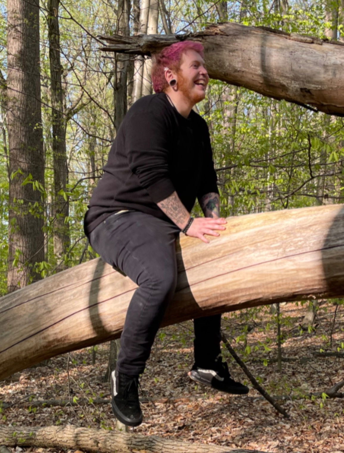 Jay