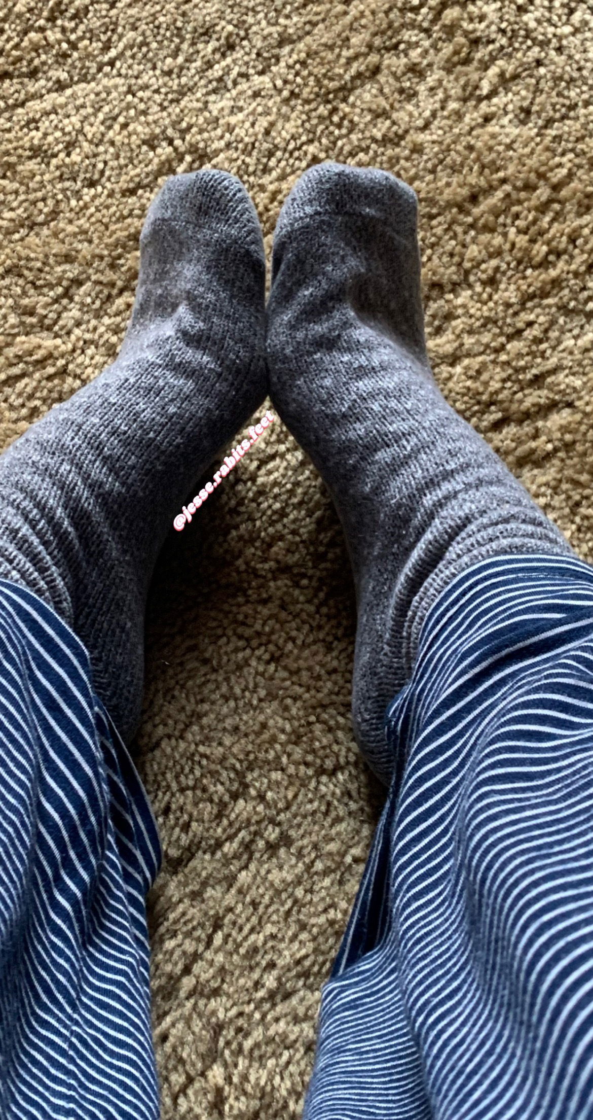 Jesse Rabit’s Feet's avatar
