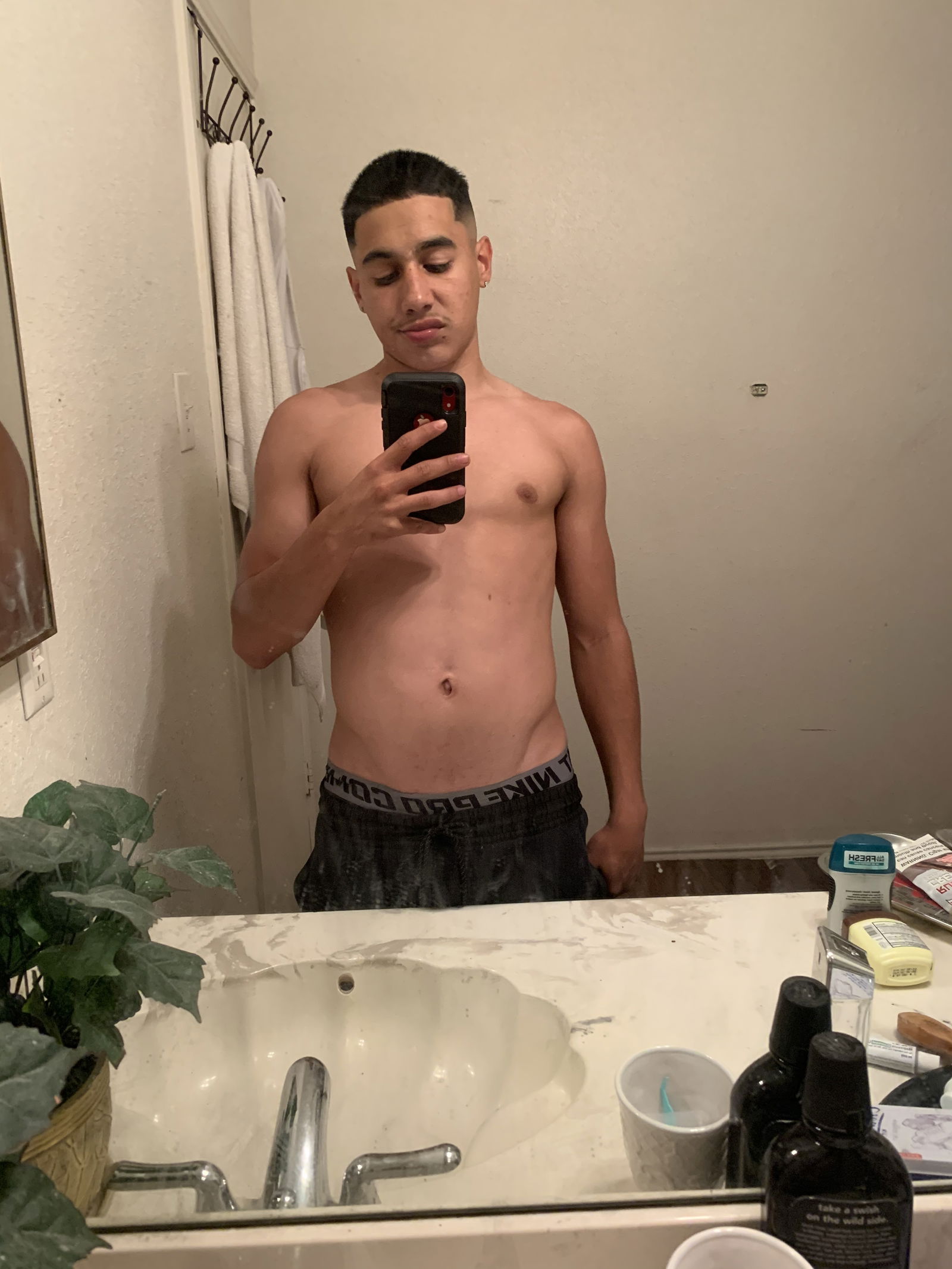 Latino Bull 😤