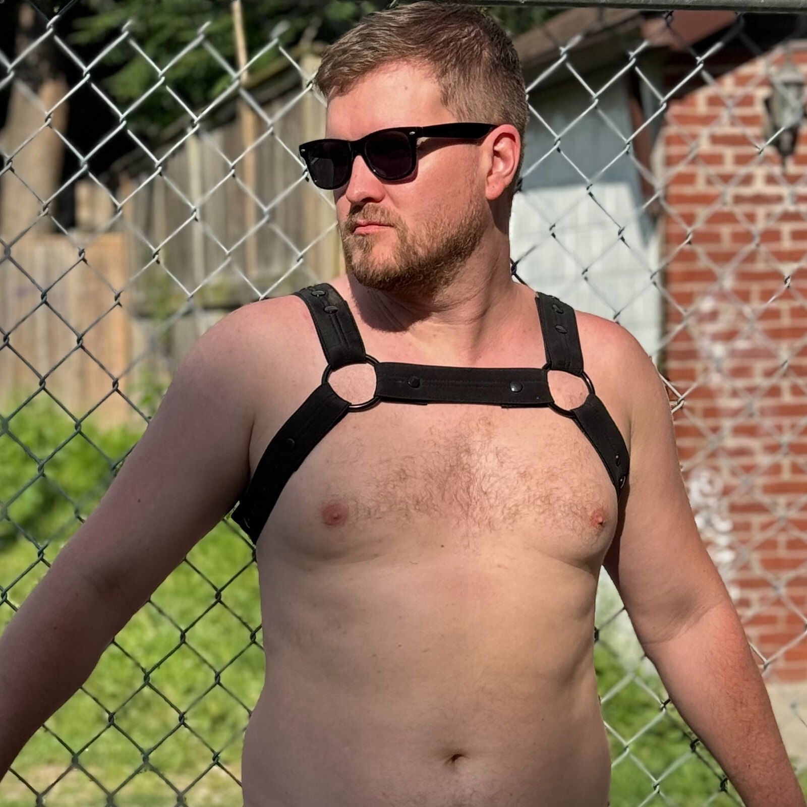 Joey - your naked neighbour's avatar