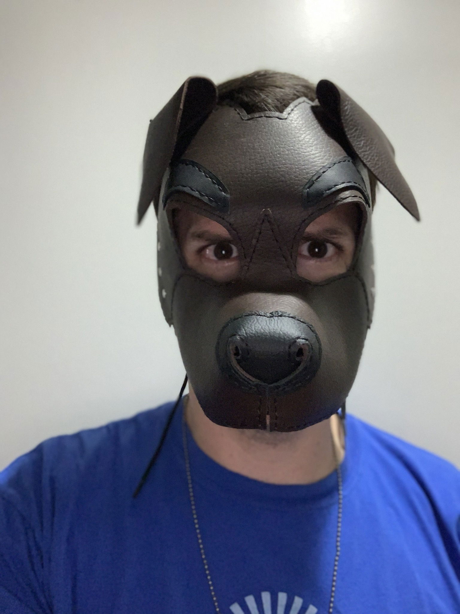 johnnytornado's avatar