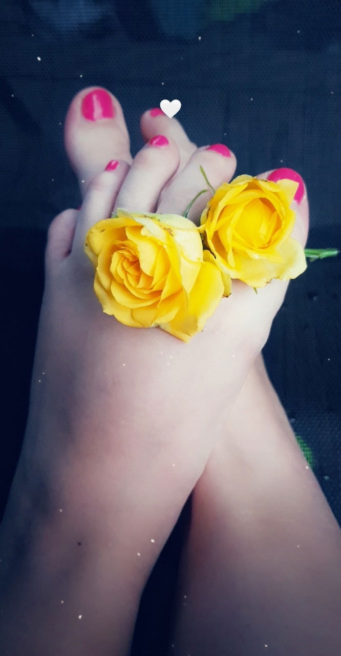 Lucy's Twinkle Toes's avatar