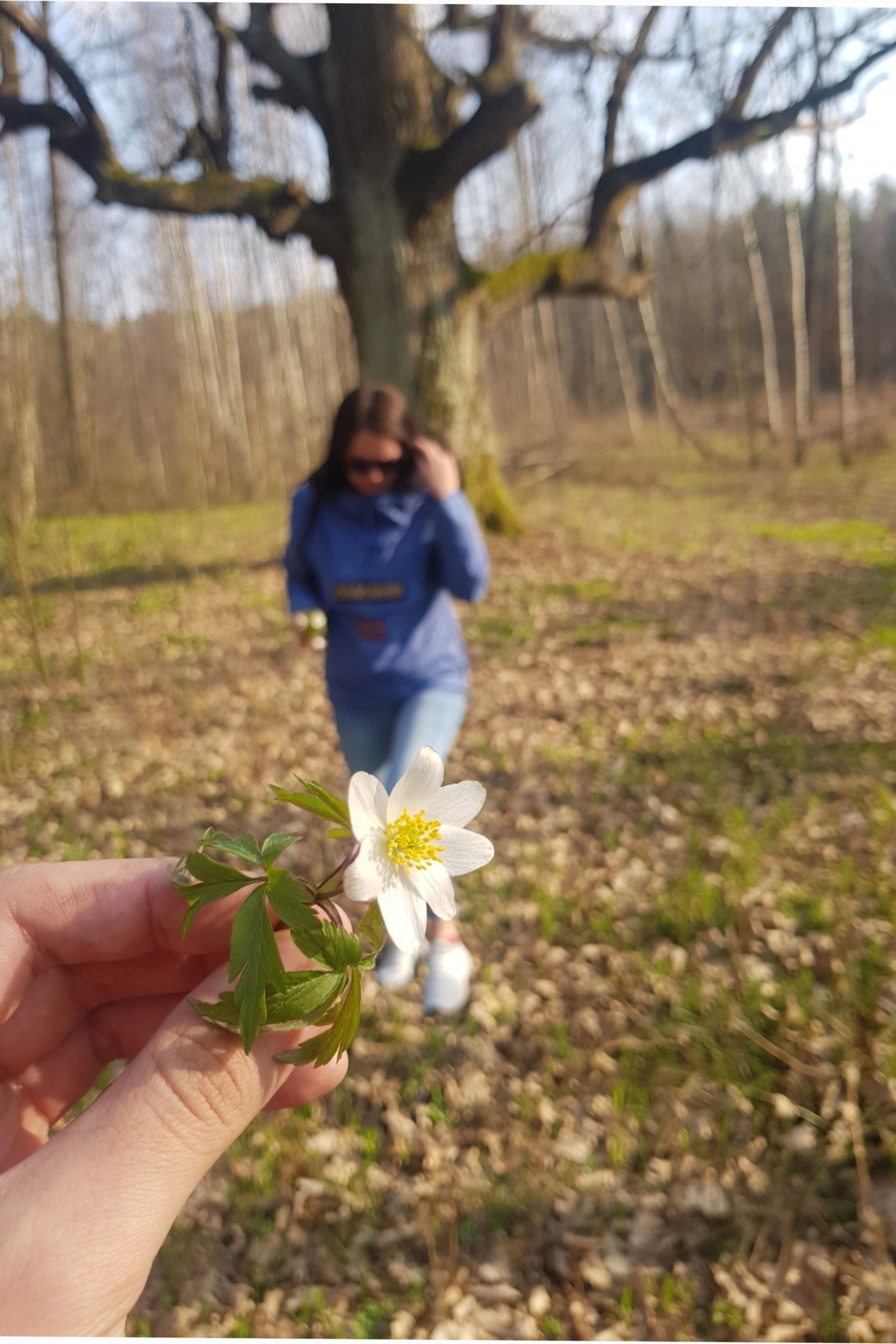 Елена's avatar