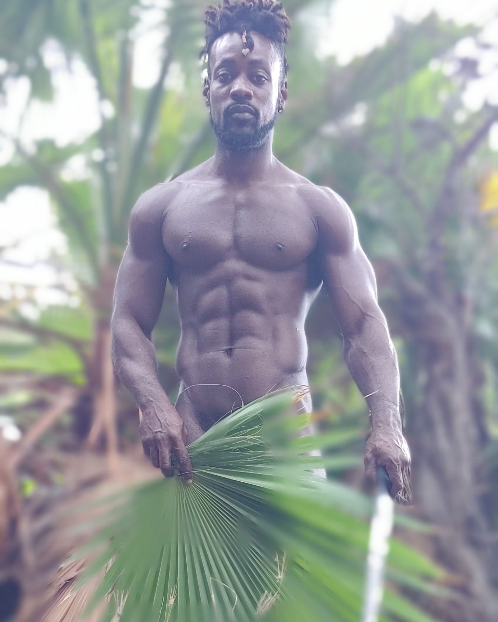 Island sensation's avatar