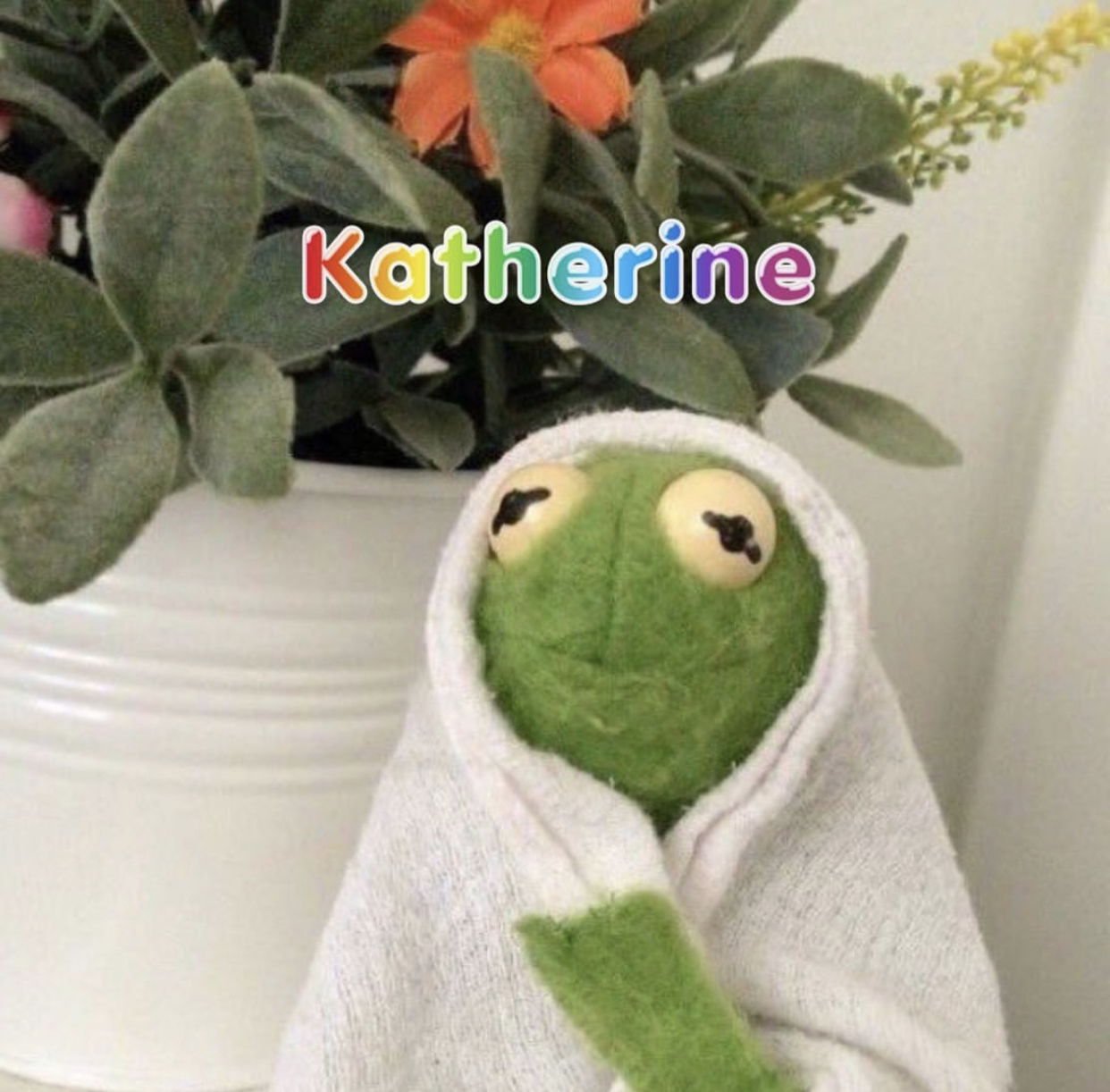 Katherine's avatar