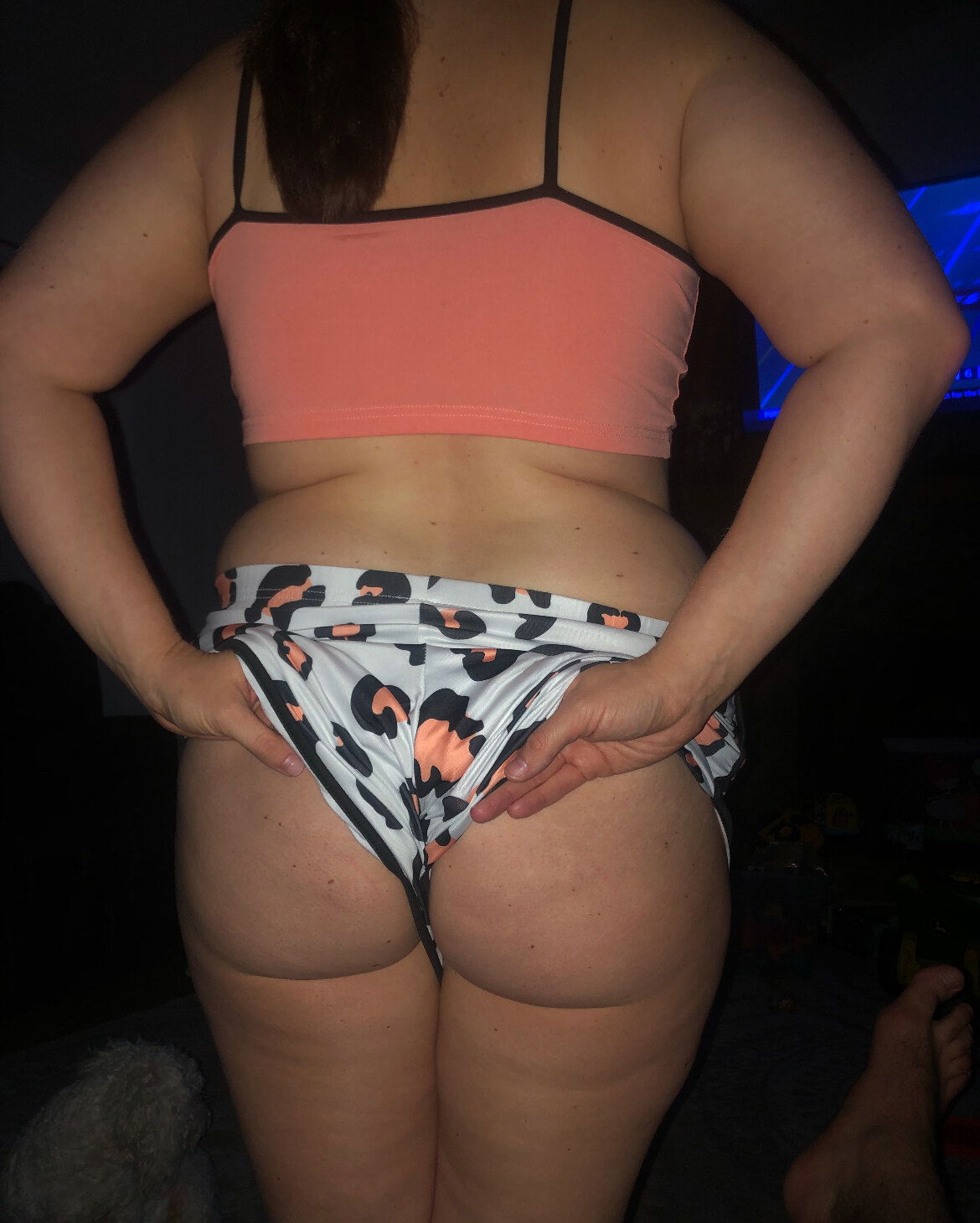 Kandisexi