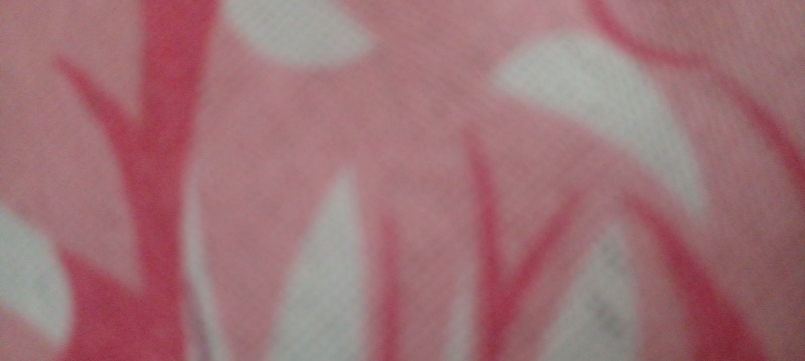 Katily's avatar